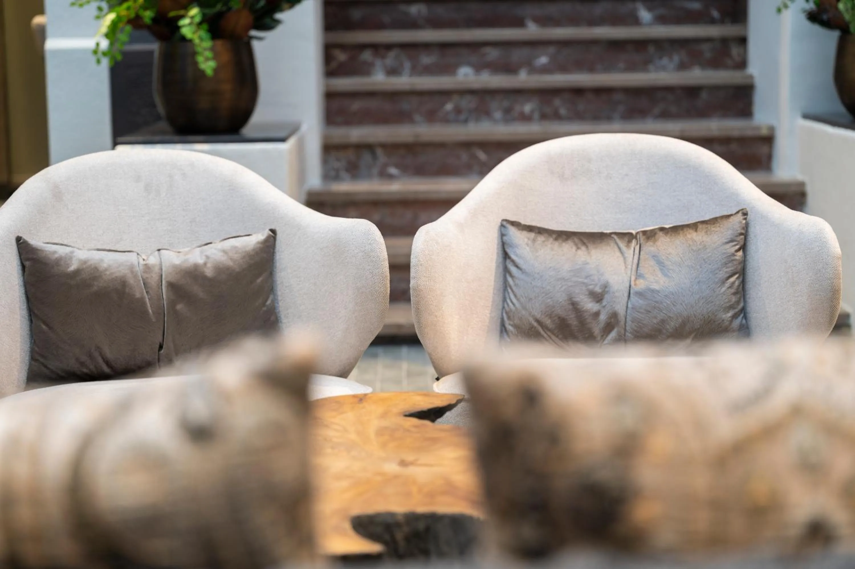 Decorative detail in Hesperia Barcelona Barri Gòtic