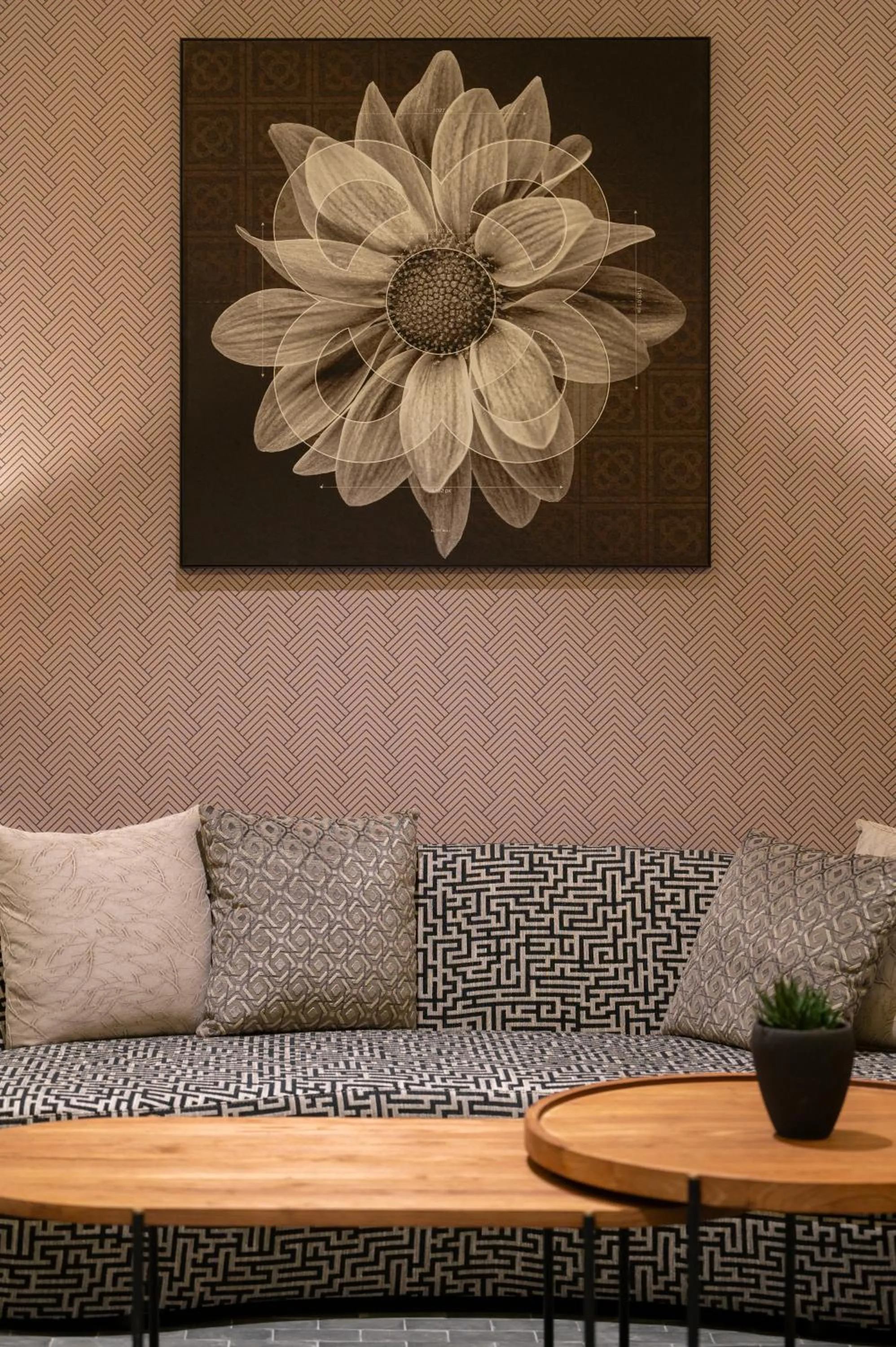 Area and facilities in Hesperia Barcelona Barri Gòtic