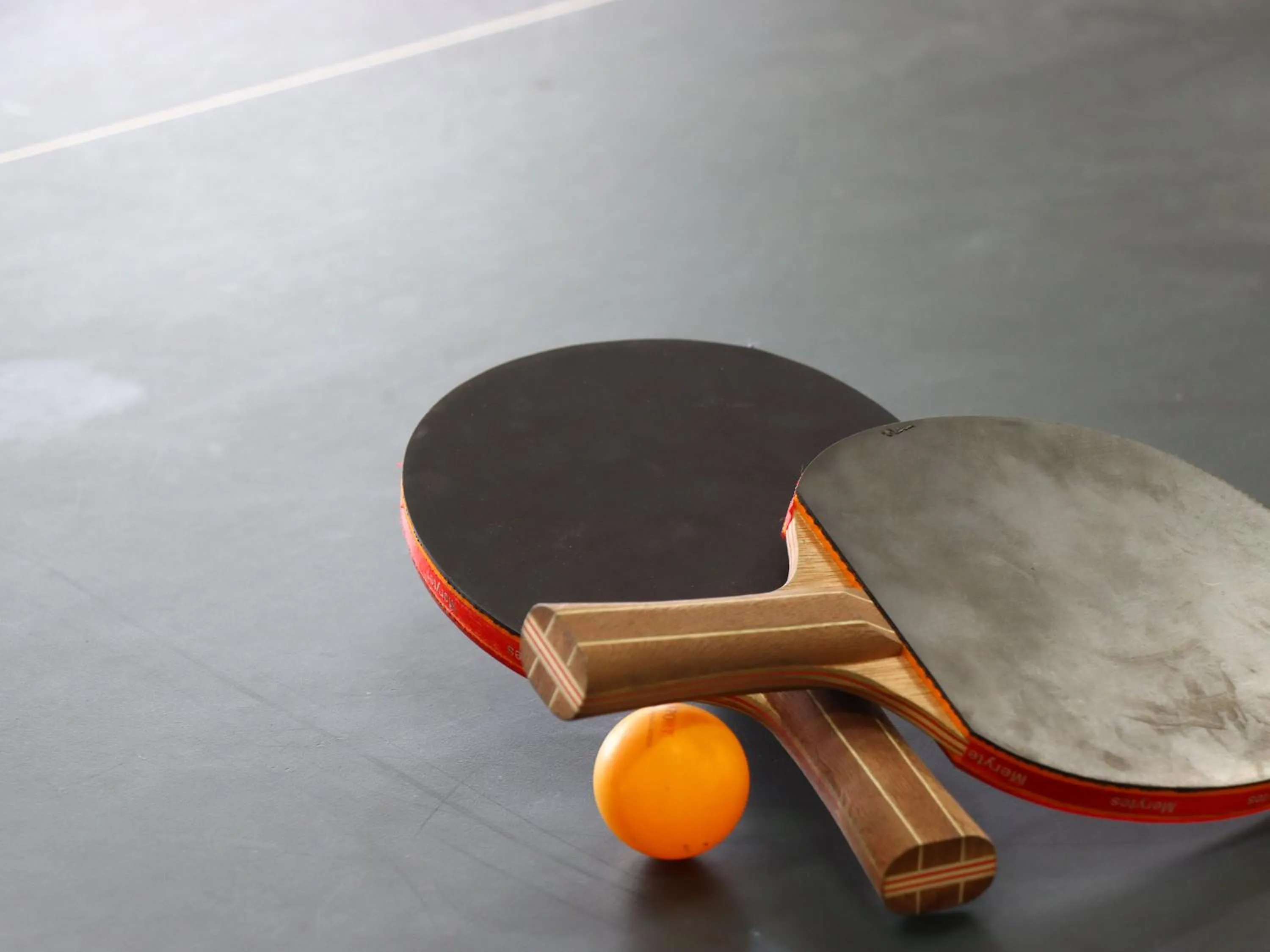 Table tennis in Guest Room Furusatomura Kogeikan
