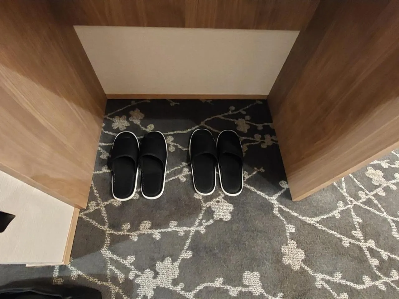 Photo of the whole room in The Legato Inn MIFUNE