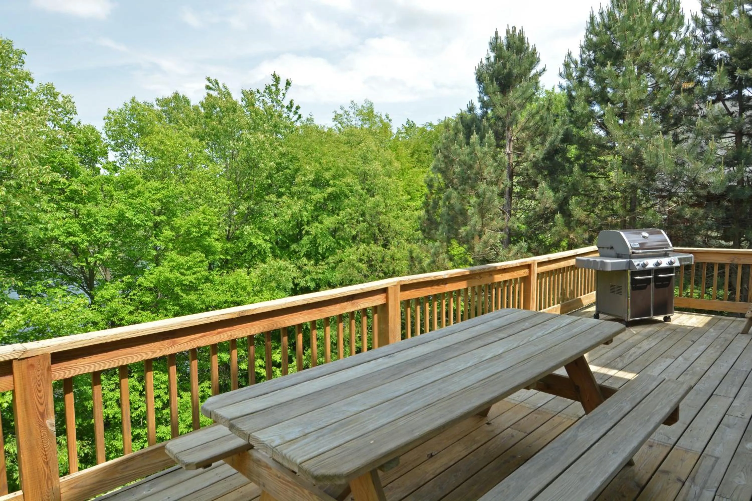 Property building in Duck Cove at Wisp