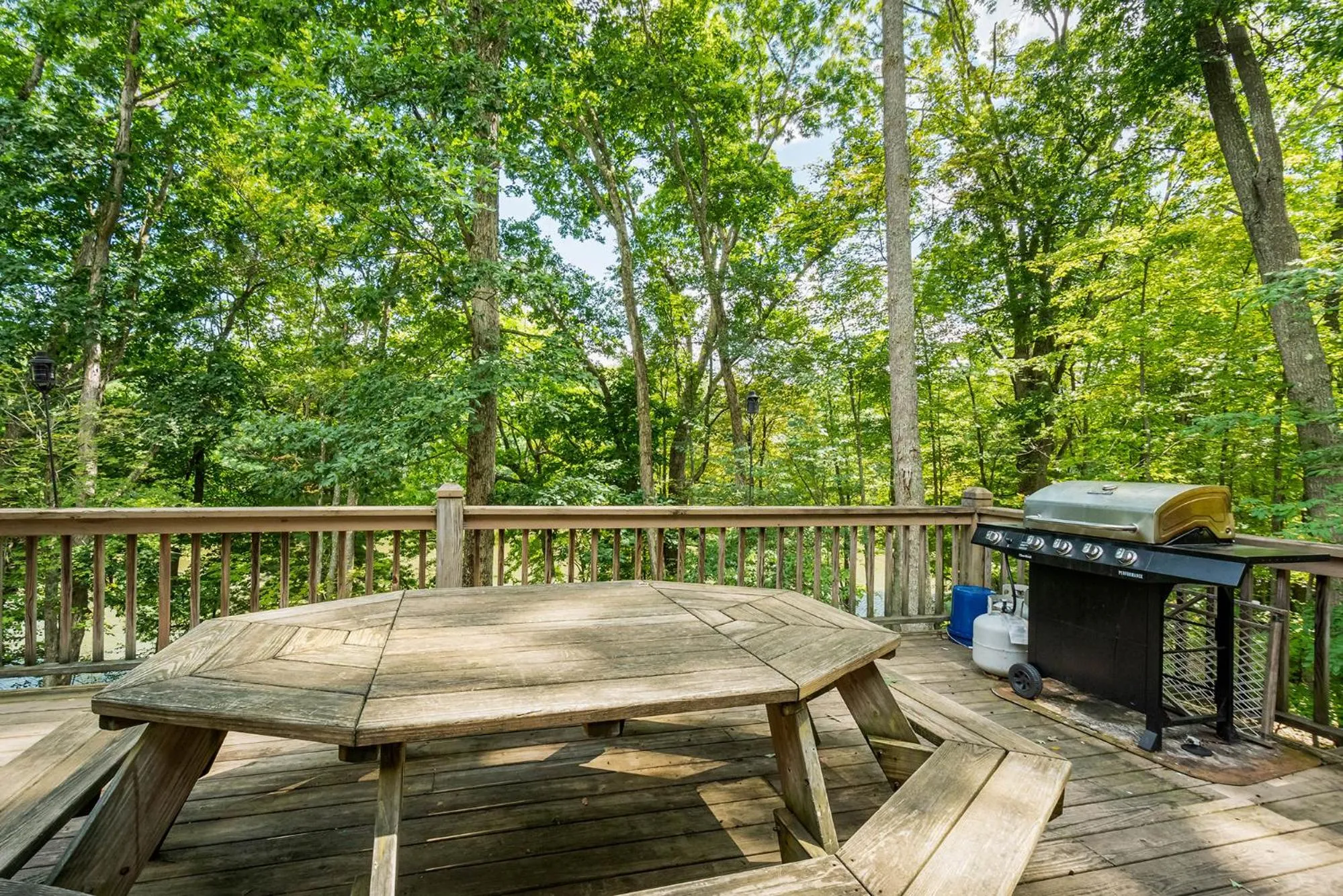 Property building in Fancy Free