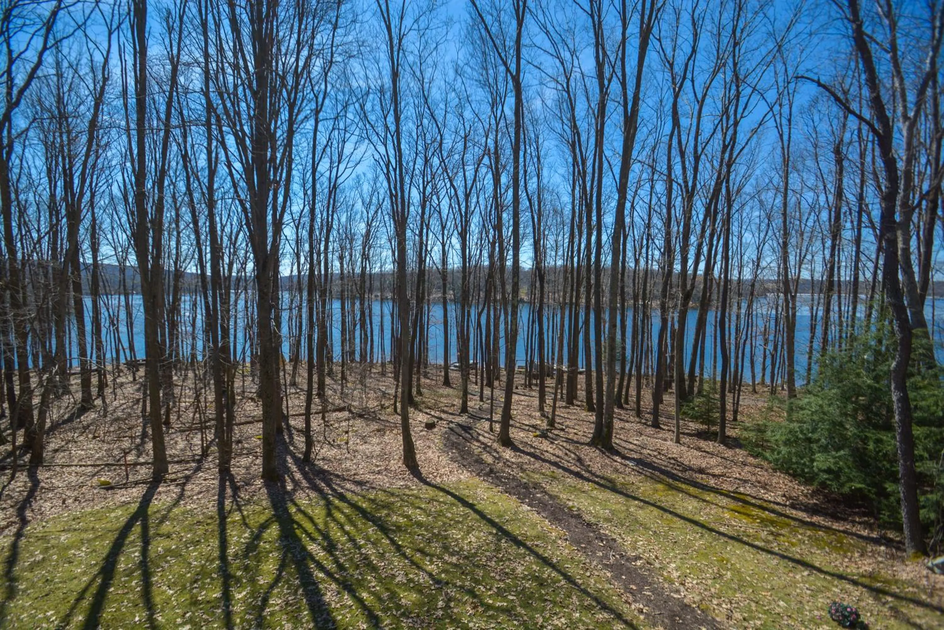 Property building in Donnas Choice