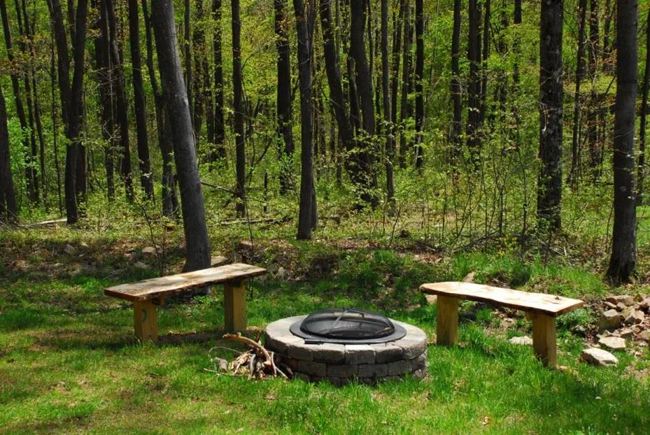 Property building in Donovans Dacha