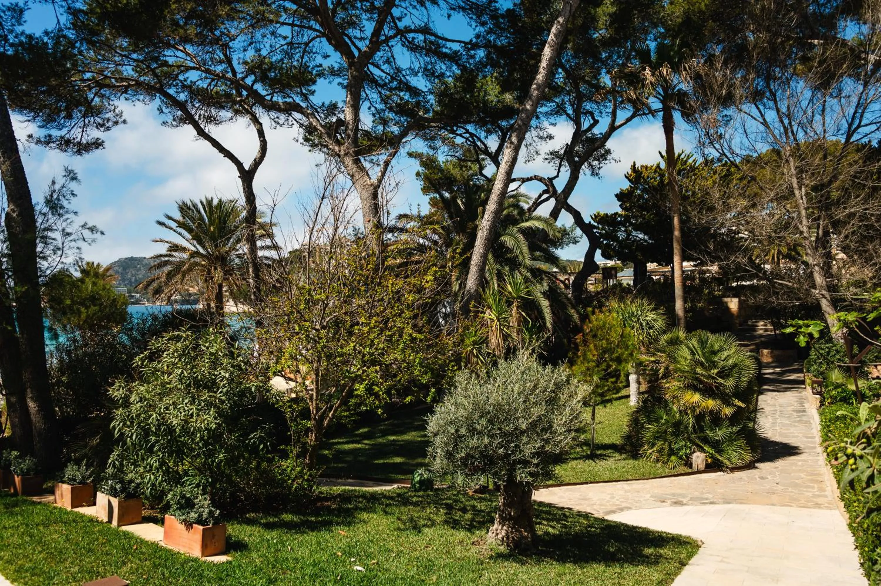 Garden in Secrets Mallorca Villamil Resort & Spa - Adults Only (+18)