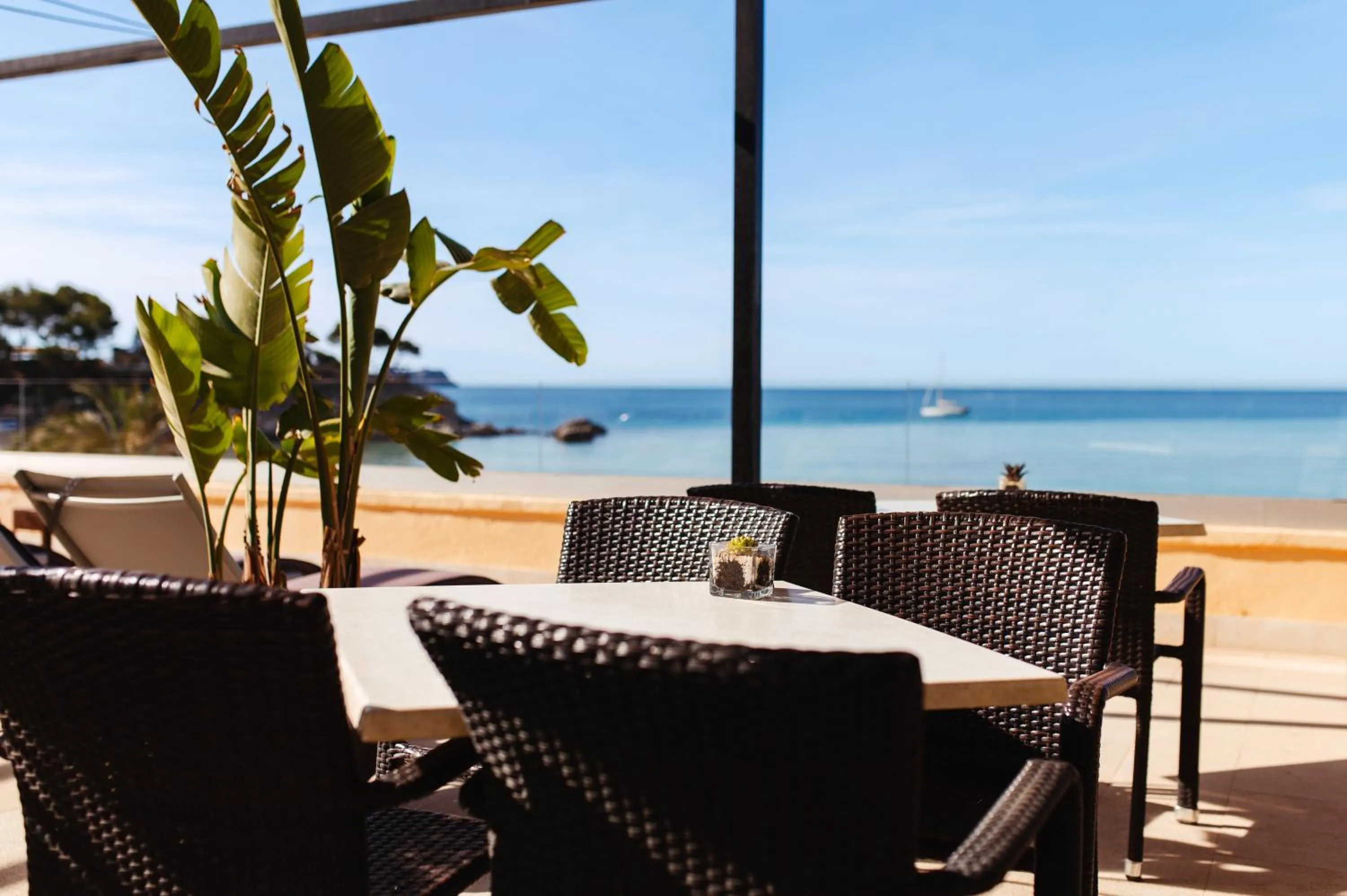 Restaurant/places to eat in Secrets Mallorca Villamil Resort & Spa - Adults Only (+18)