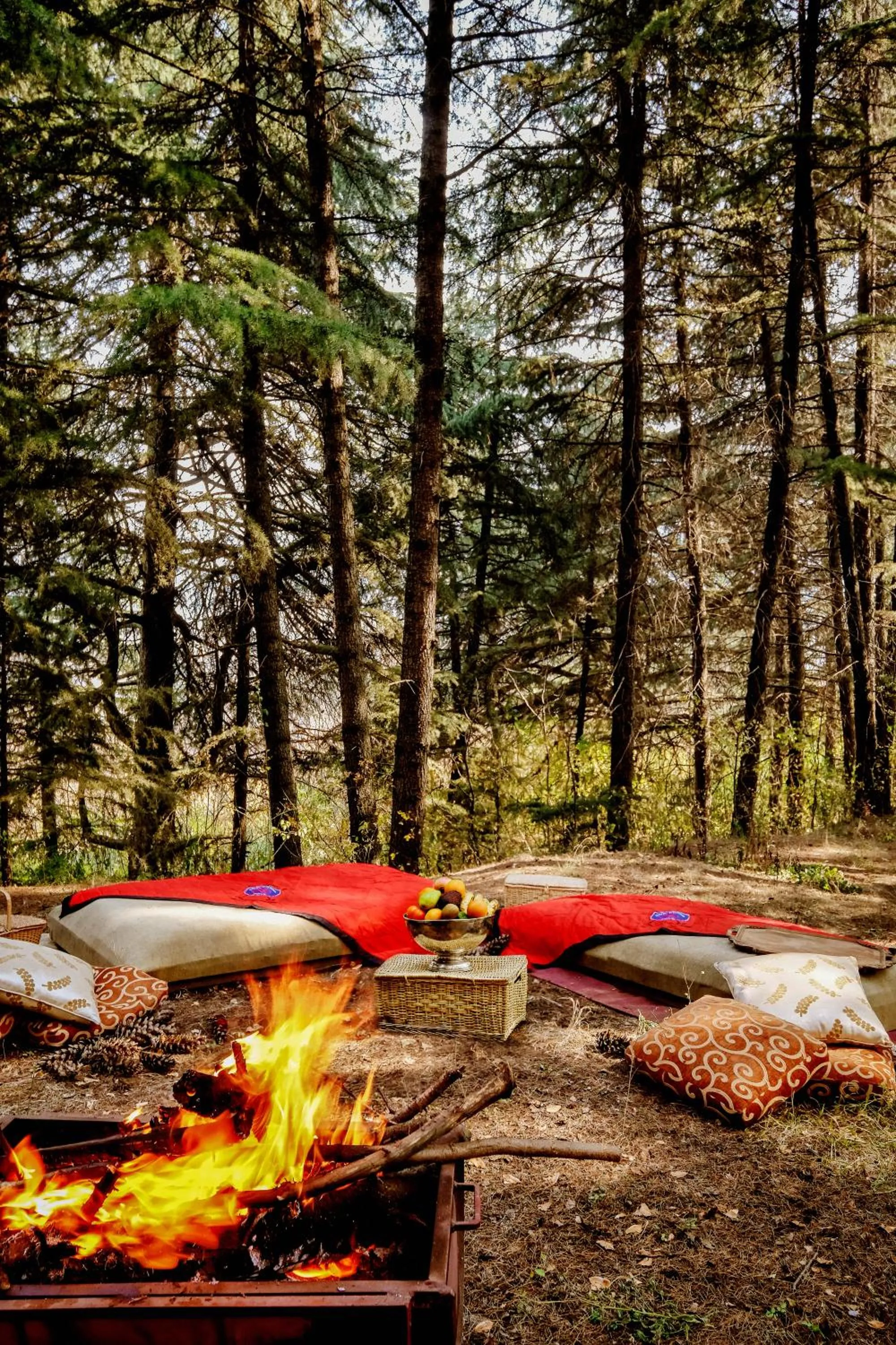 Natural landscape in Karan Mahal