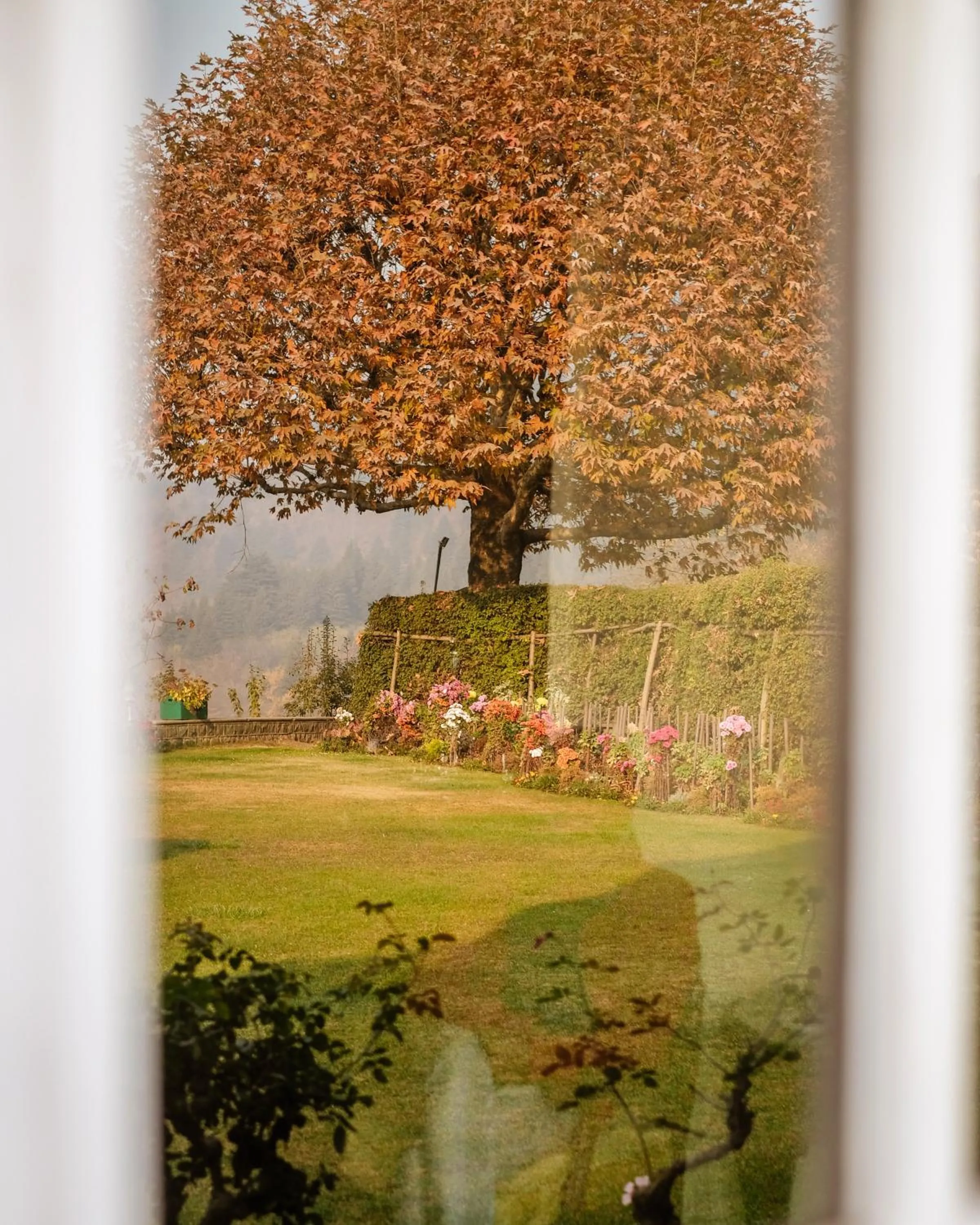 Natural landscape in Karan Mahal