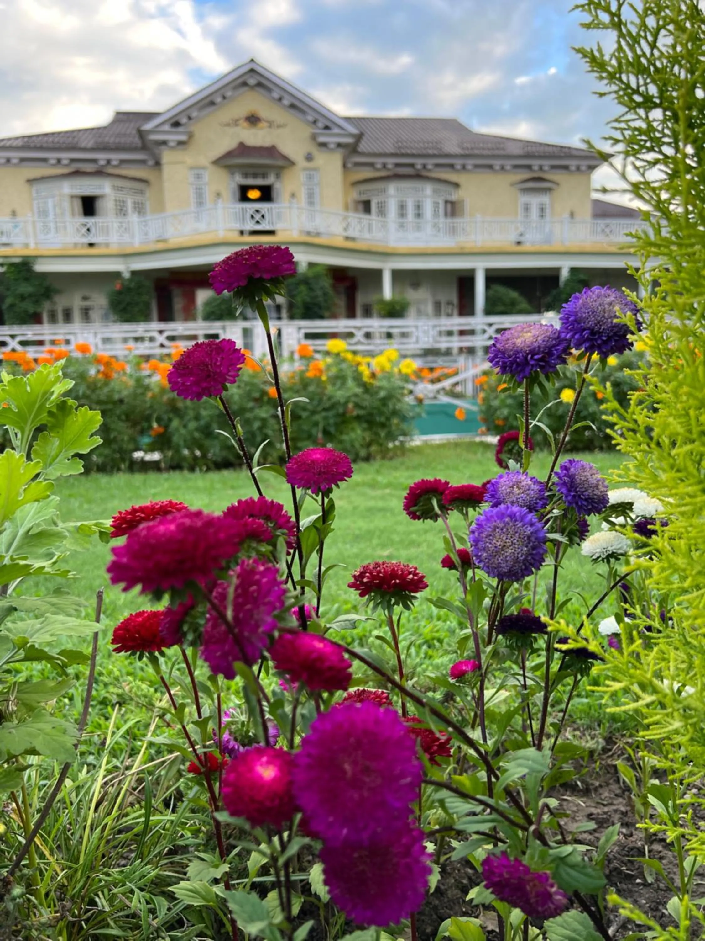 Property building in Karan Mahal