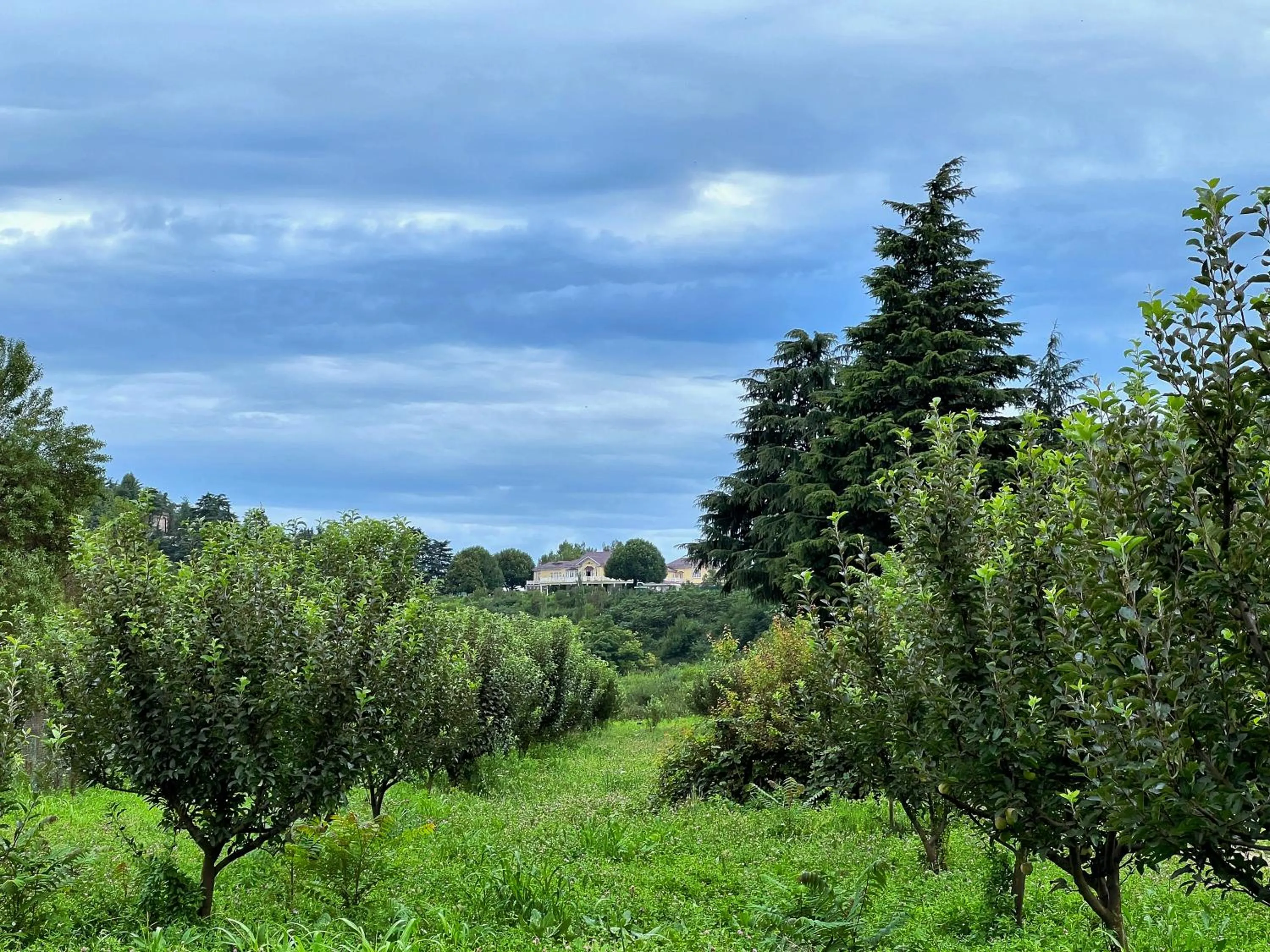 Natural landscape in Karan Mahal