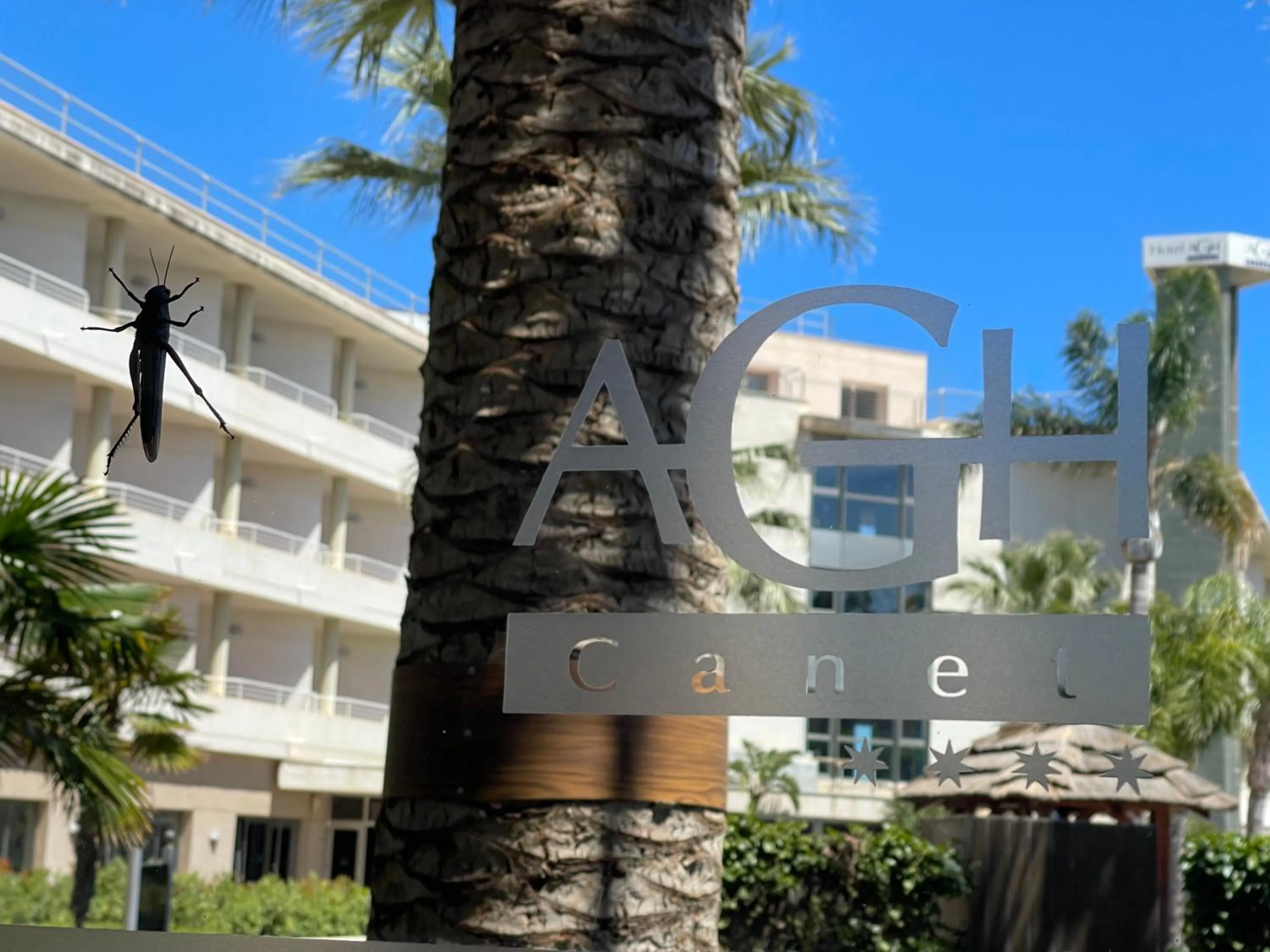 Property logo or sign in AGH Canet