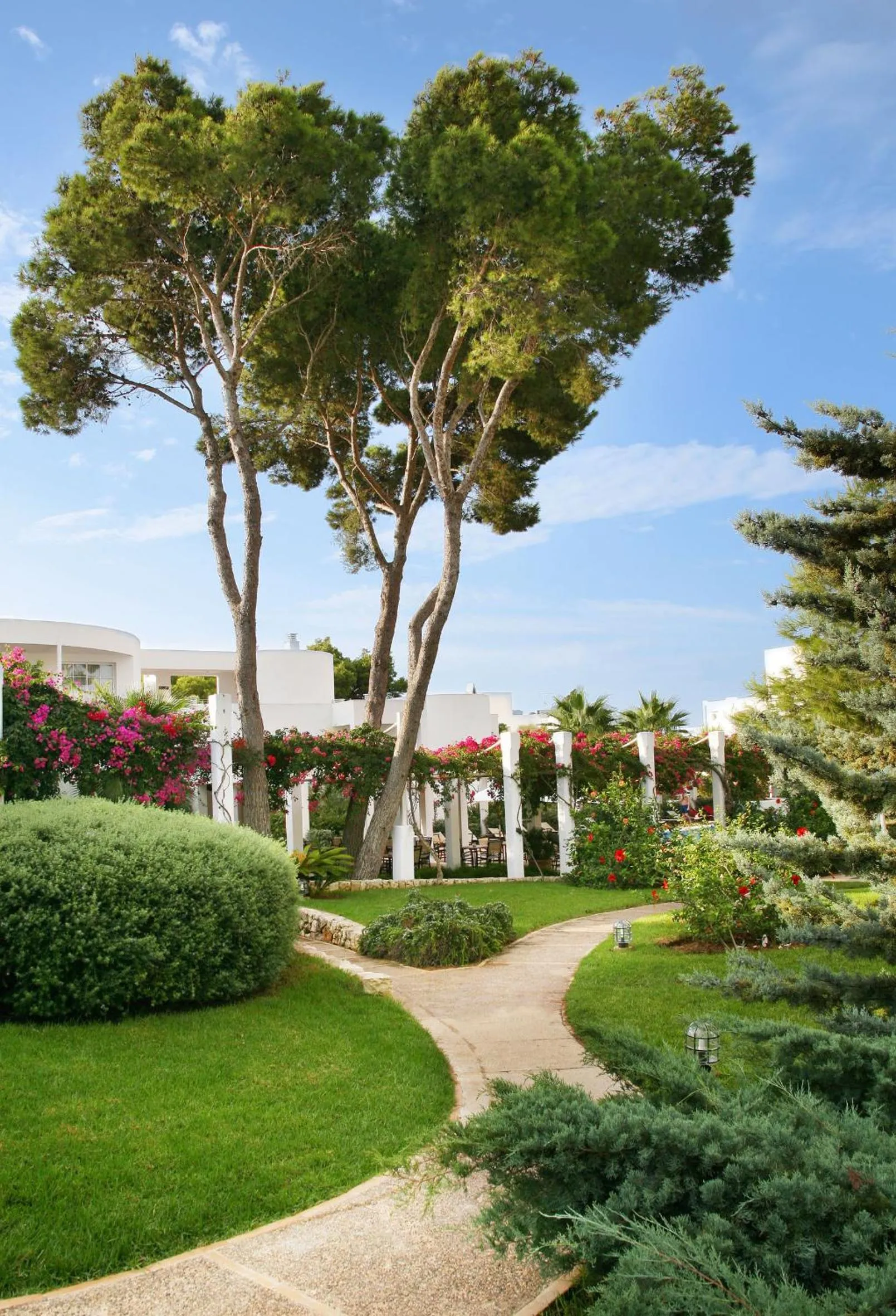 Garden in Melia Cala d'Or Boutique Hotel