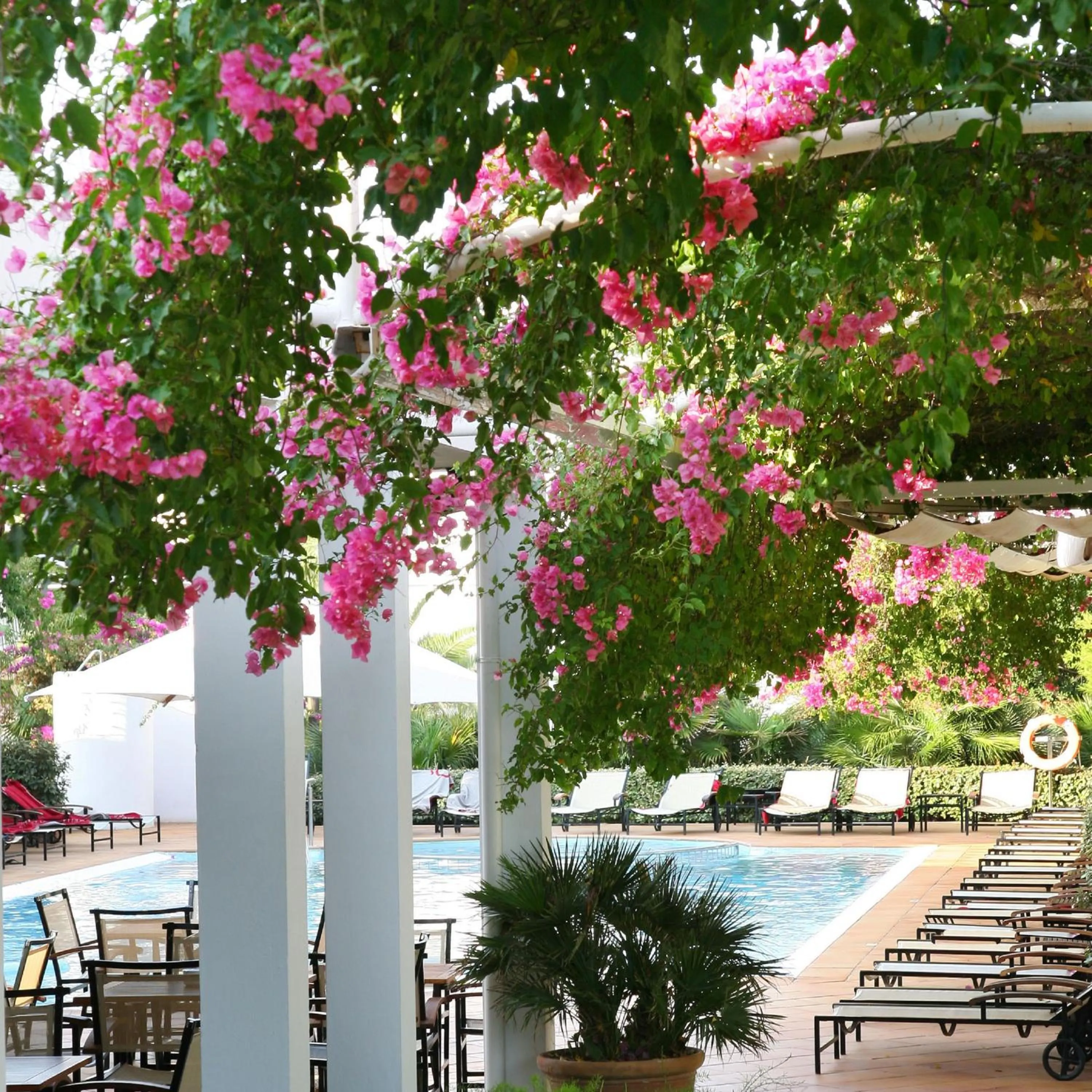 Garden in Melia Cala d'Or Boutique Hotel