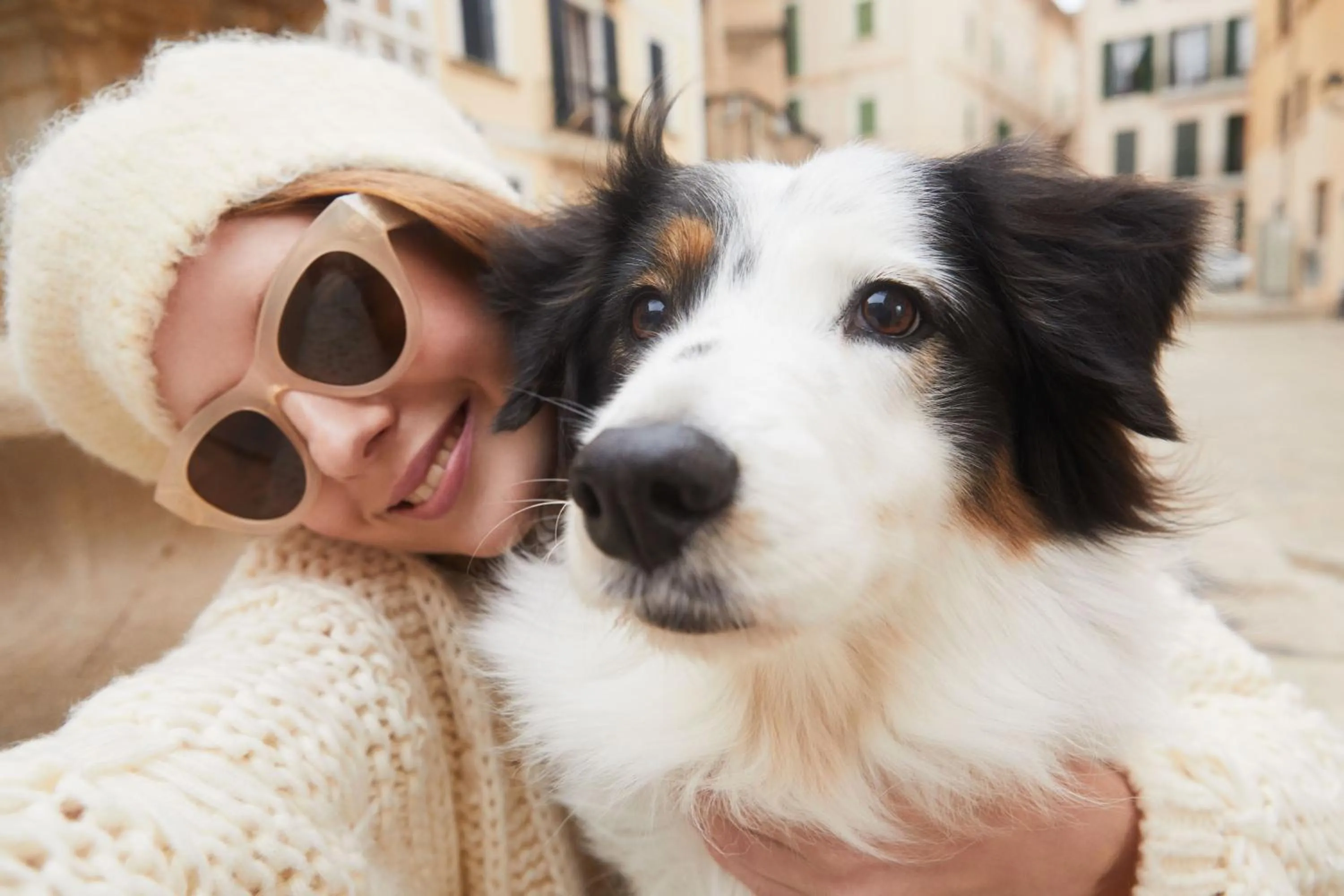 Pets in Meliá Cala d'Or Boutique Hotel