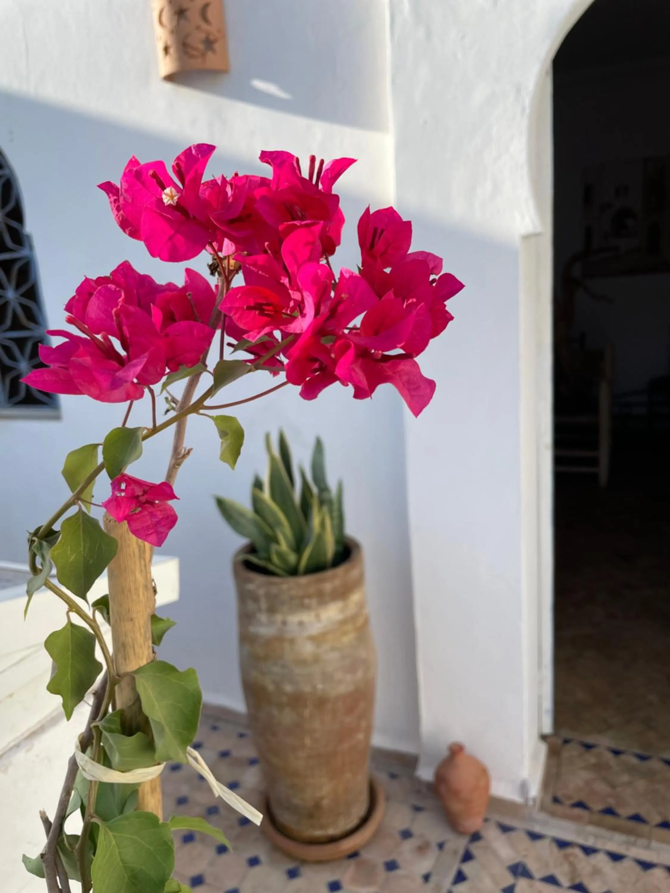 Balcony/Terrace in RIAD AMANA