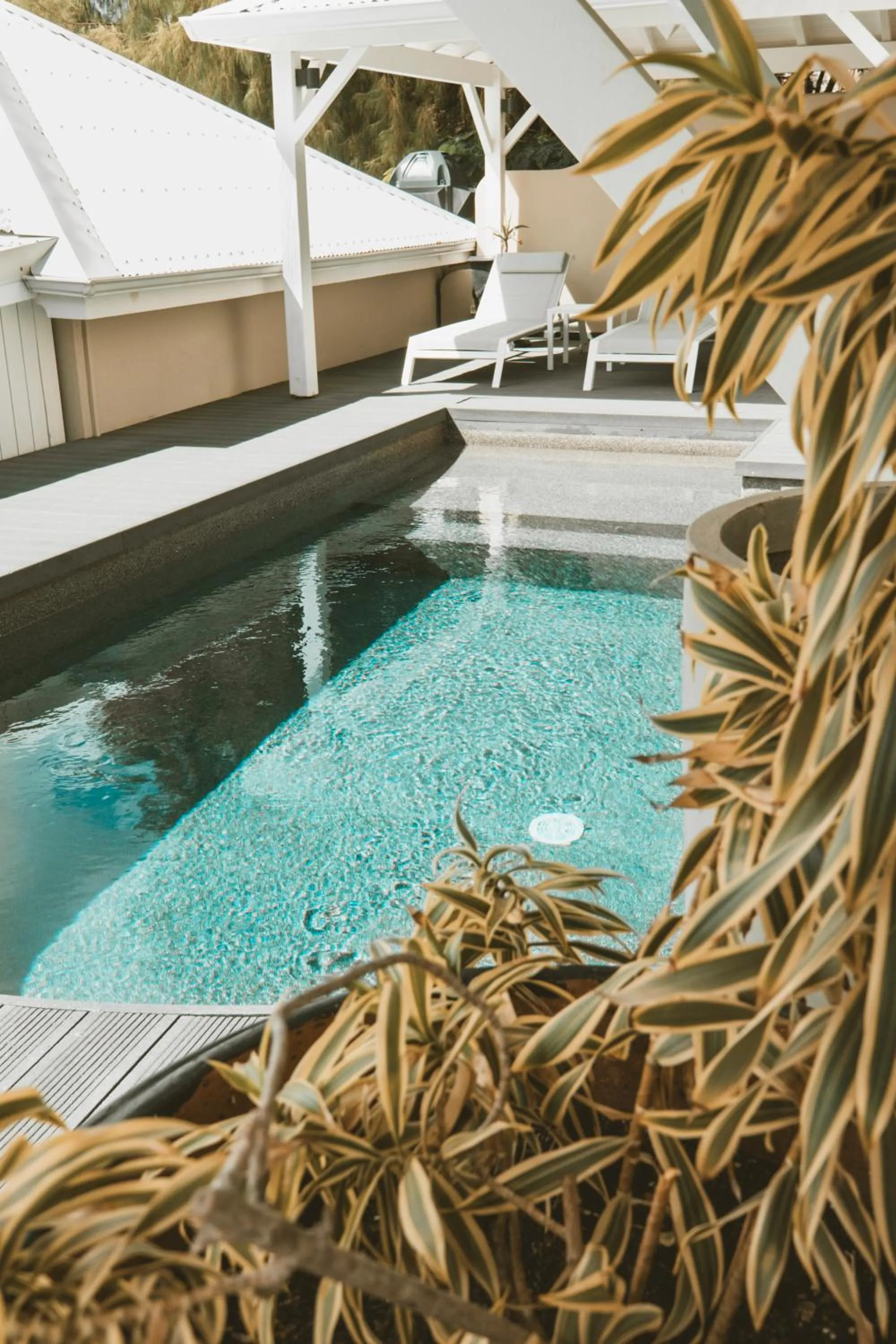 Swimming pool in La Villa Hibiscus, Saint Martin