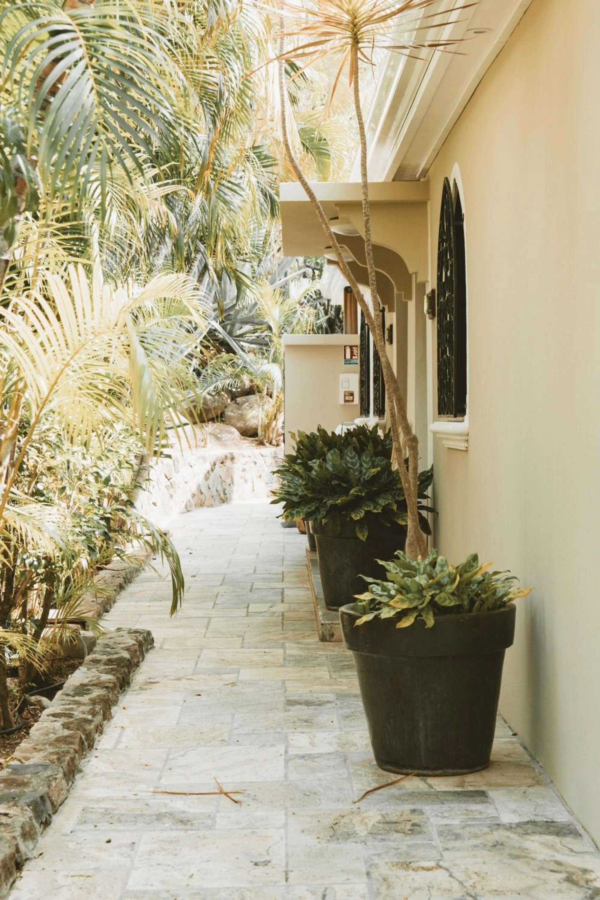 Garden in La Villa Hibiscus, Saint Martin
