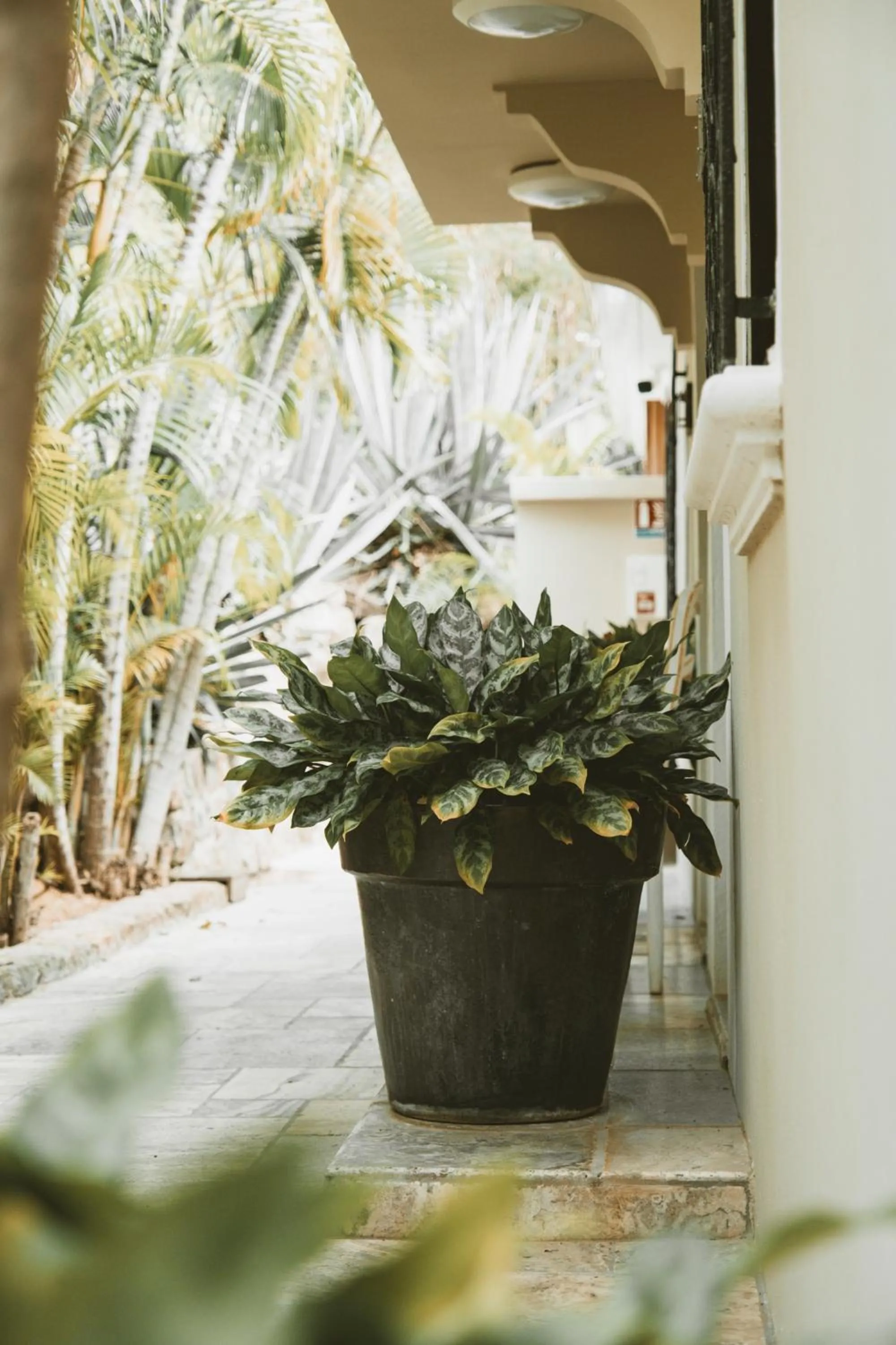 Text overlay in La Villa Hibiscus, Saint Martin