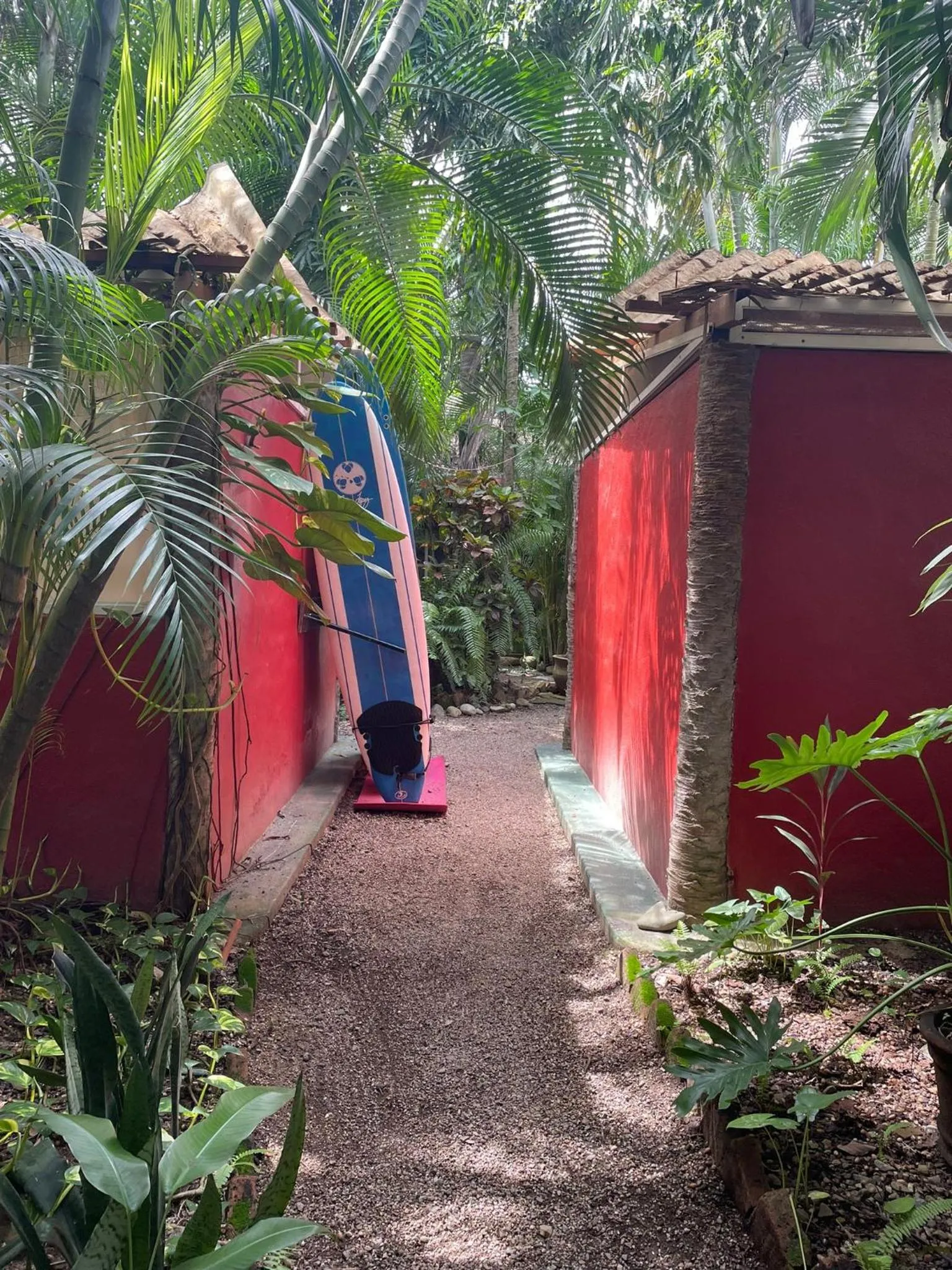 Garden in Akoma Sayulita