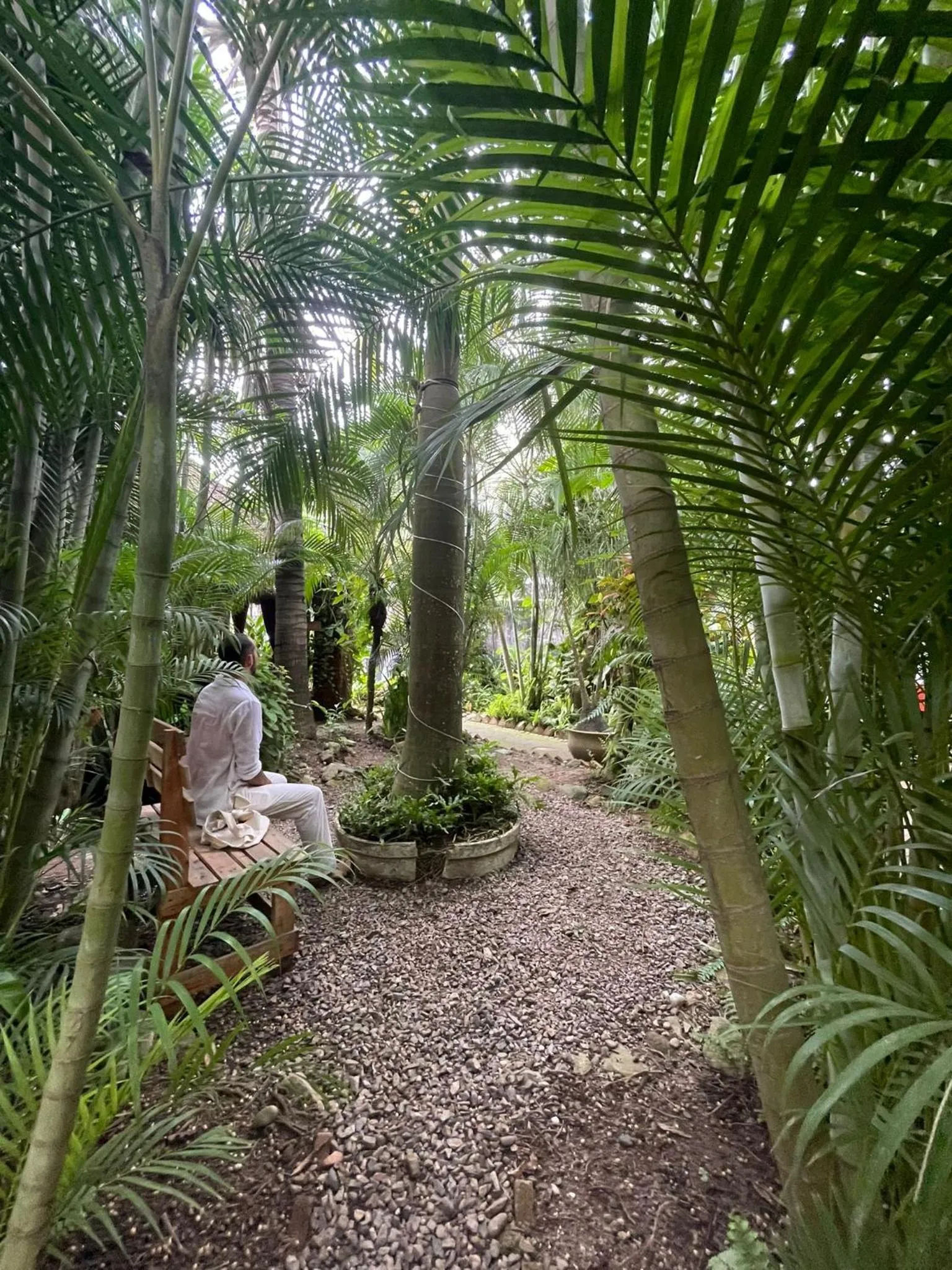 Garden in Akoma Sayulita