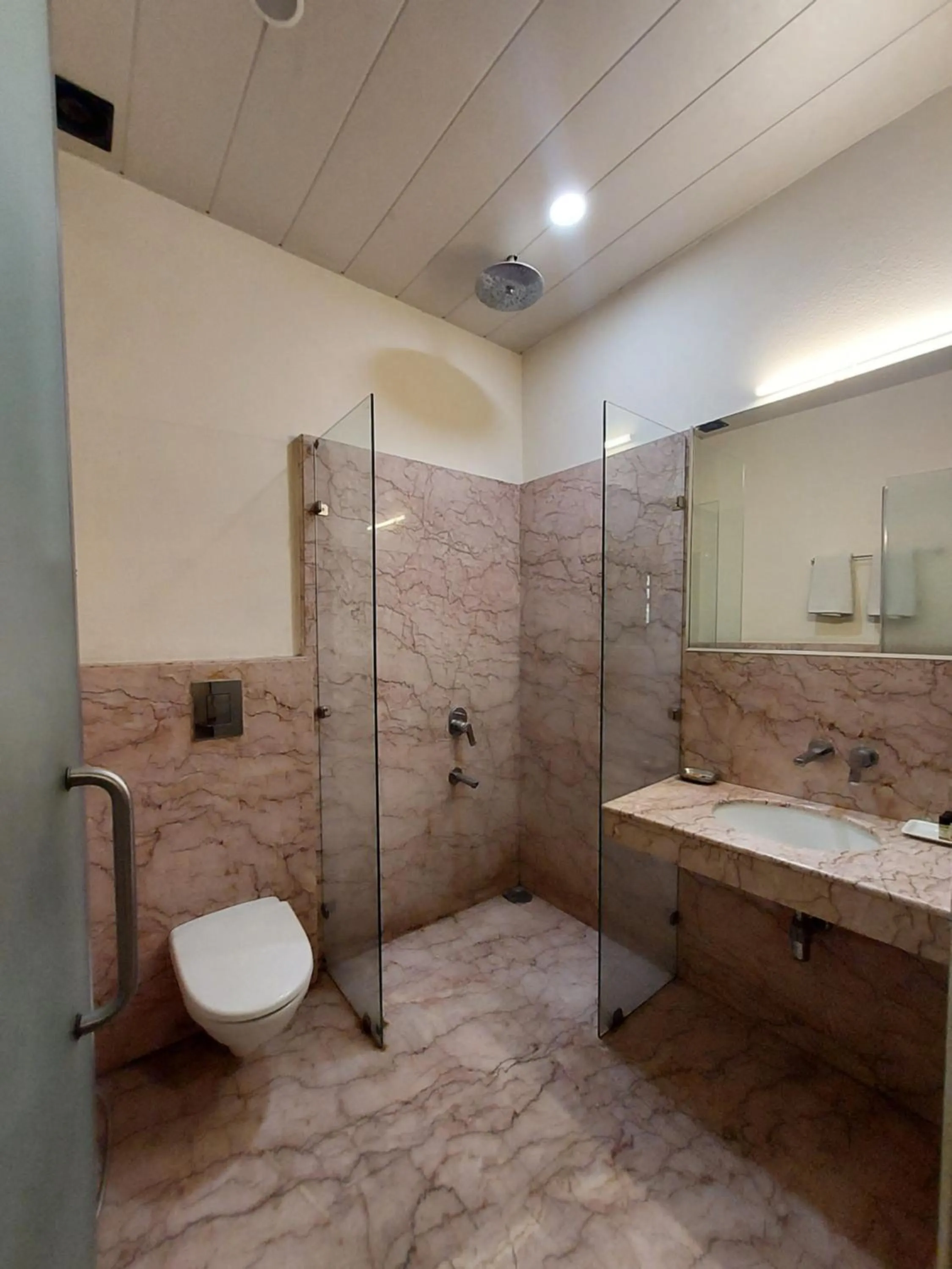 Toilet in Hotel Green Castle (Heritage Hotel)