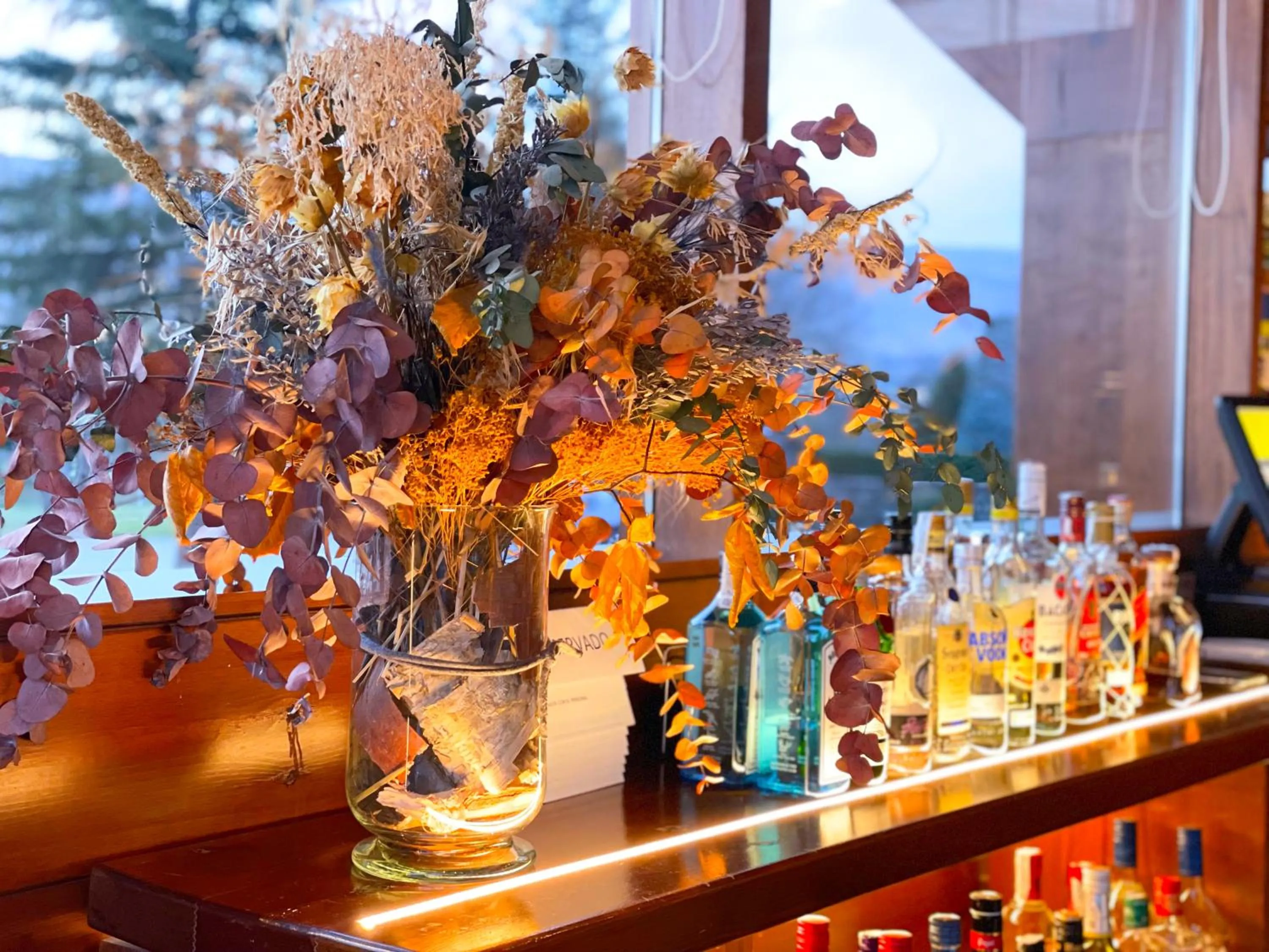 Lounge or bar in Hotel Fontanals Golf