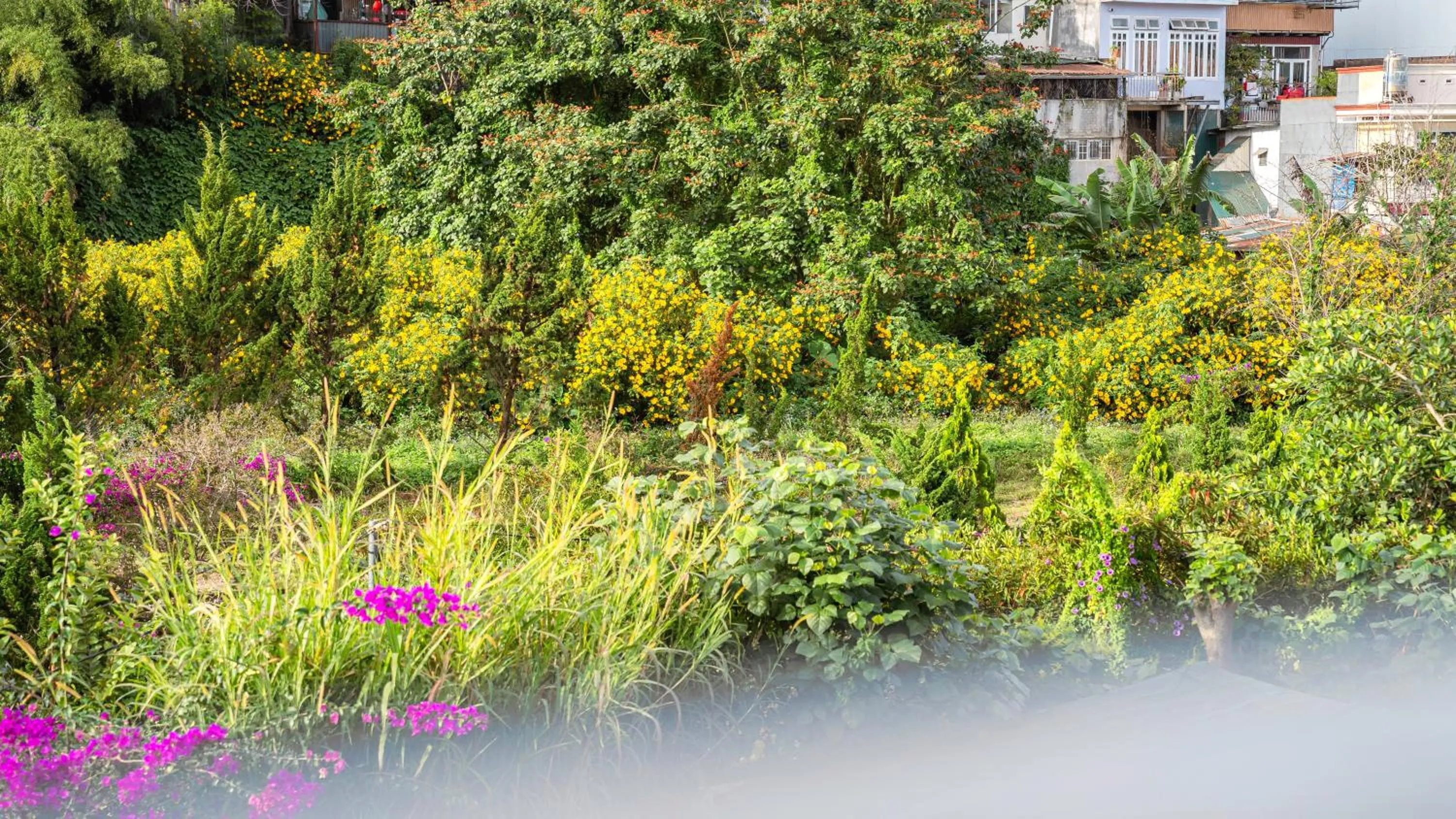 Garden view in Nhat Minh Hotel Dalat