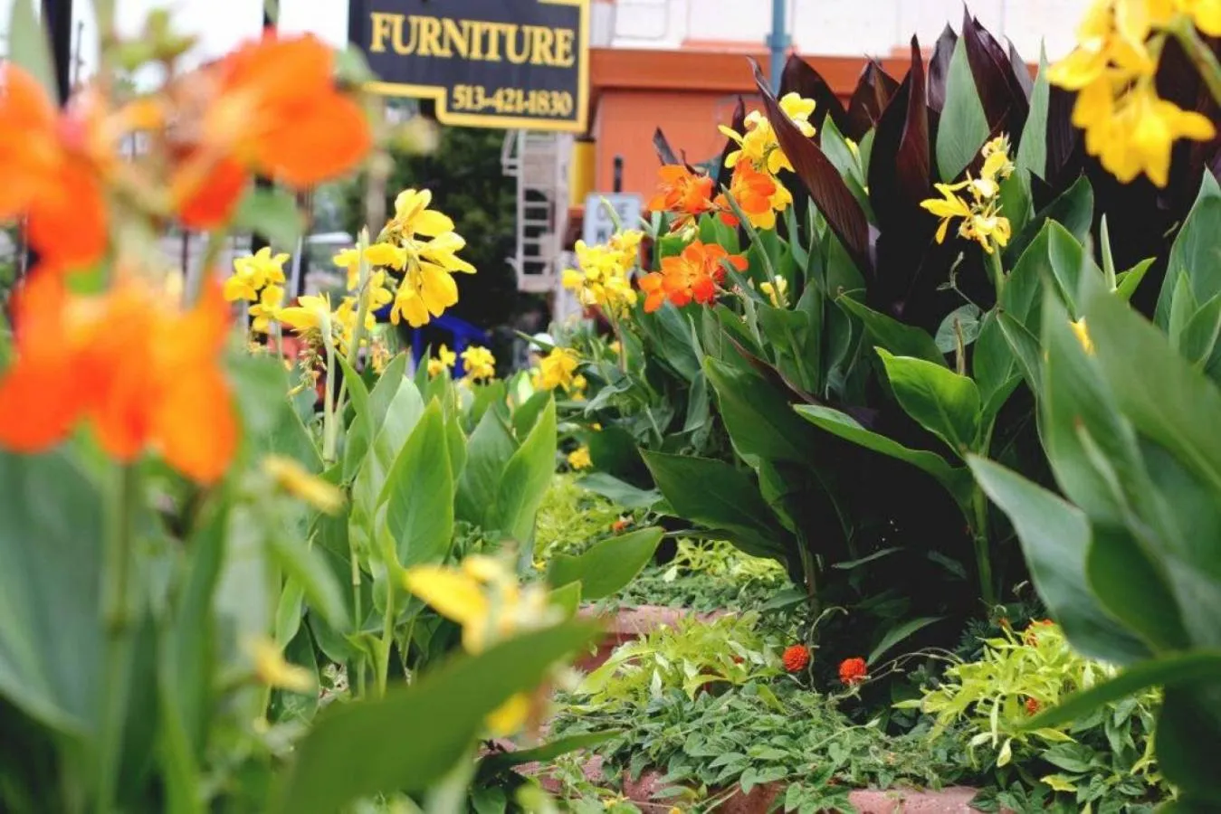 Neighbourhood in Luxury 4-Bedroom Retreat in the Heart of Over the Rhine