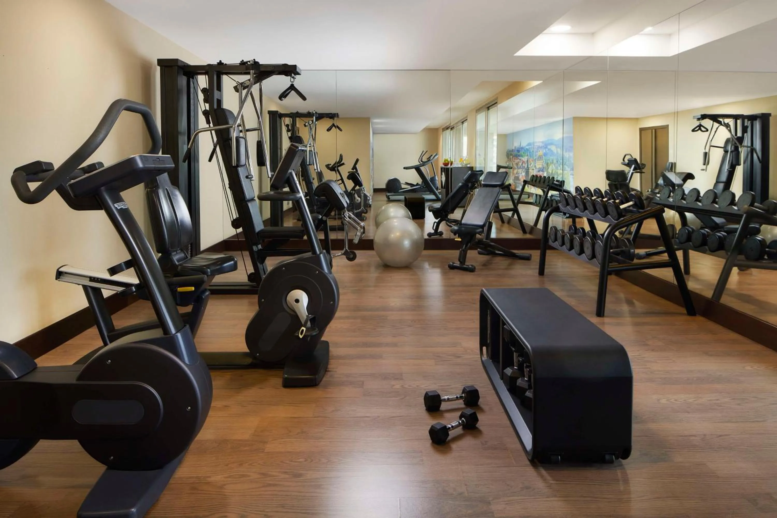 Fitness centre/facilities in NH Alicante