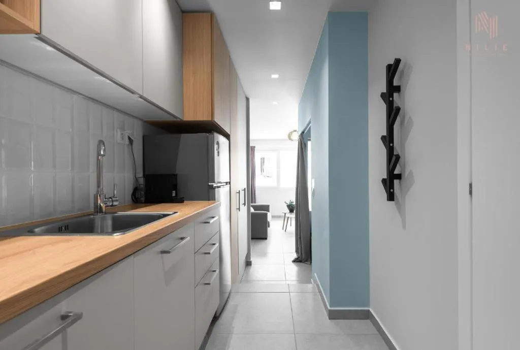 Kitchen or kitchenette in Big Apple, Nilie Hospitality MGMT