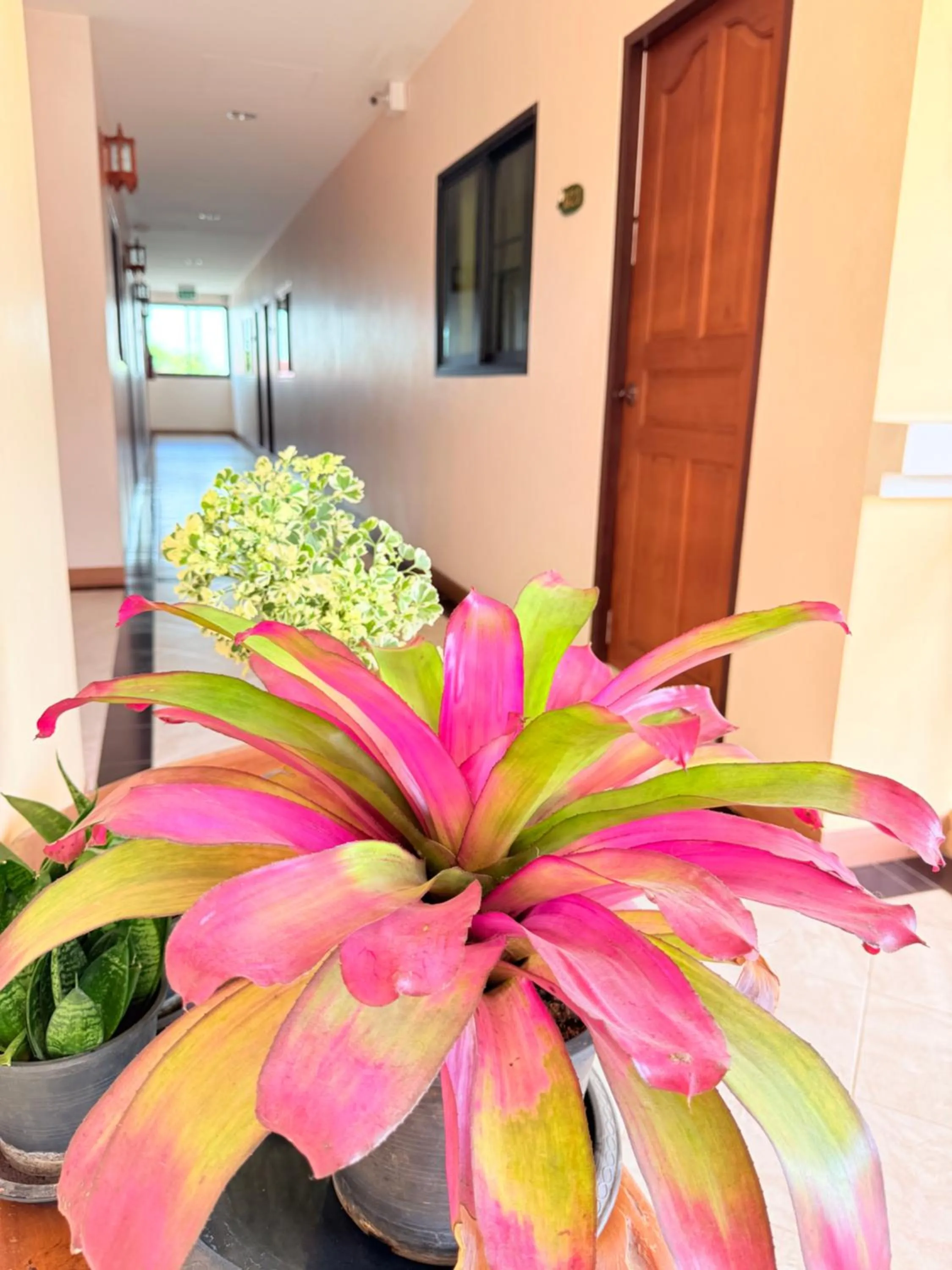 Property building in Laph Kham House