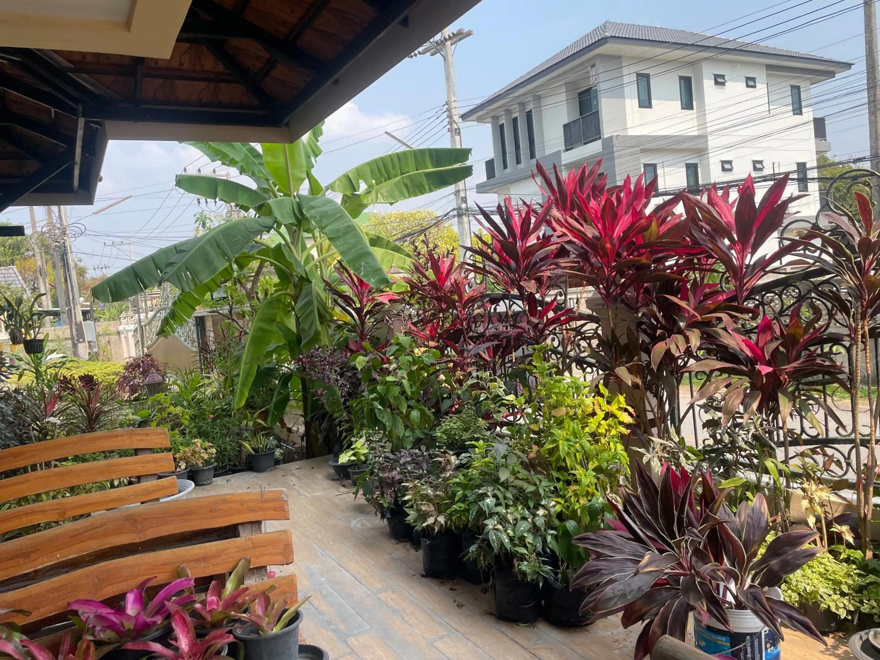 Garden view in Laph Kham House