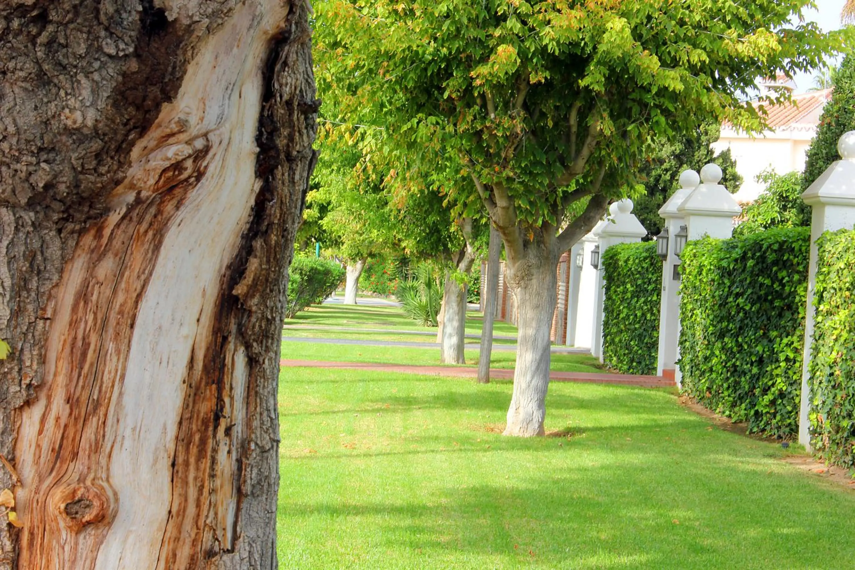 Facade/entrance in Hotel Malaga Picasso