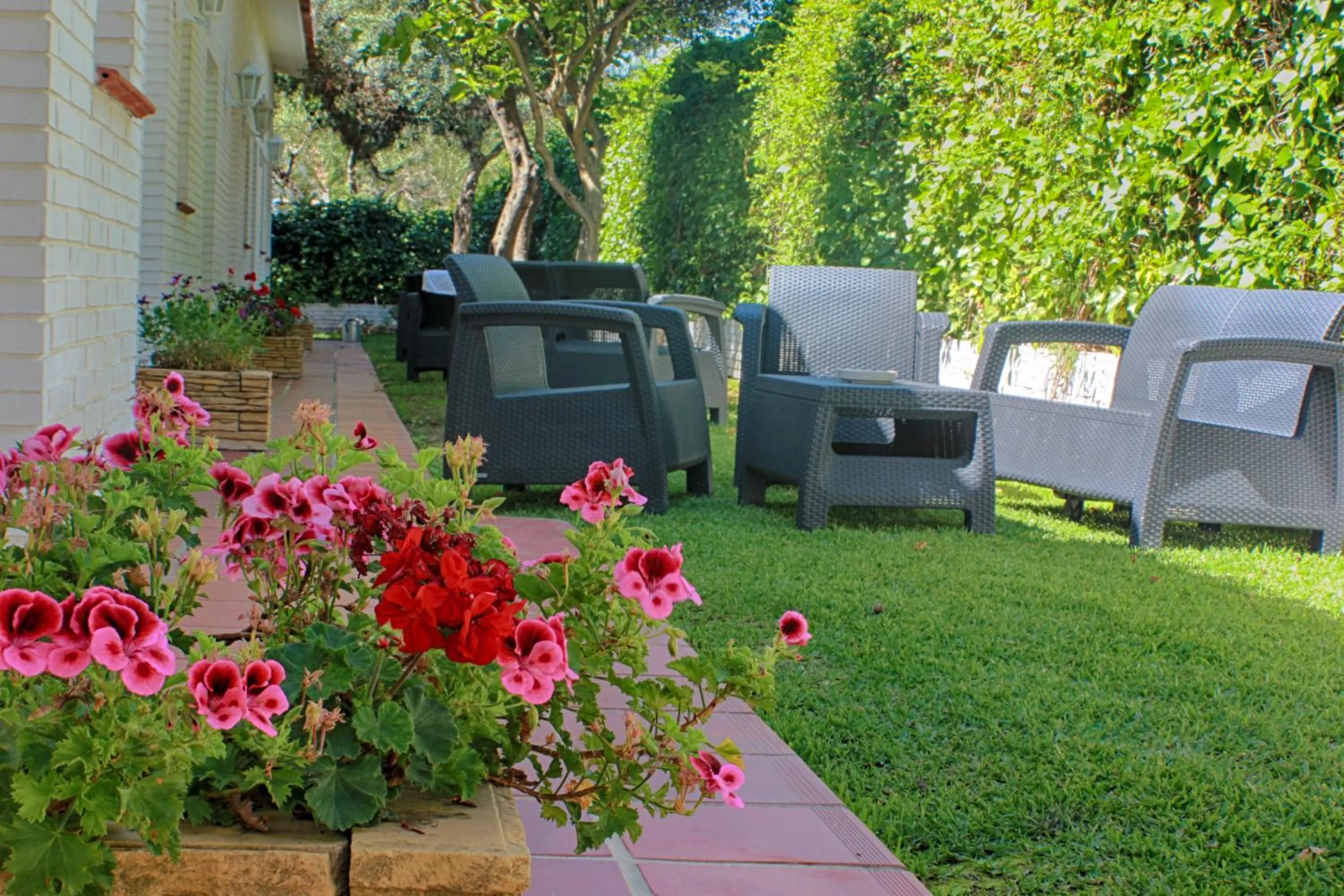 Garden in Hotel Malaga Picasso