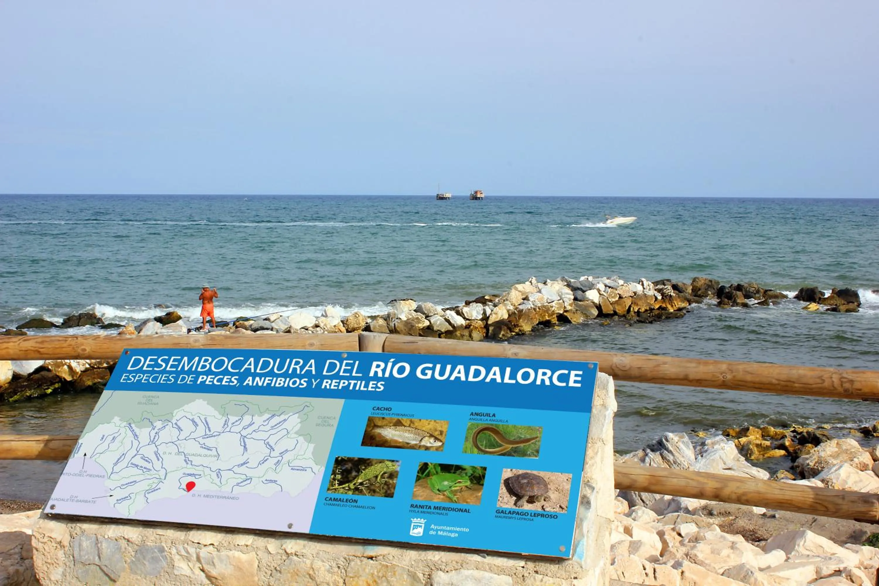 Natural landscape in Hotel Malaga Picasso