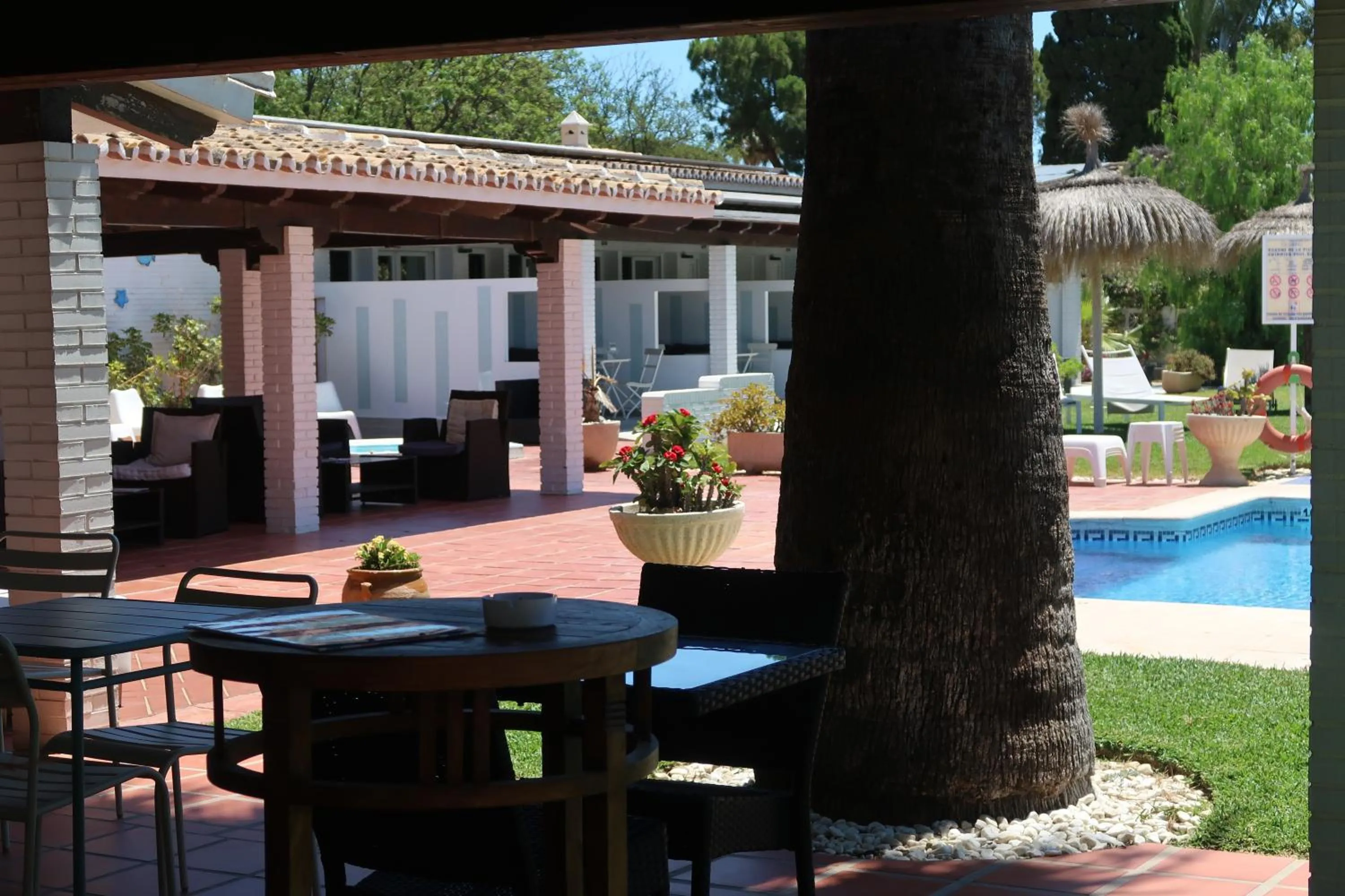 Garden view in Hotel Malaga Picasso