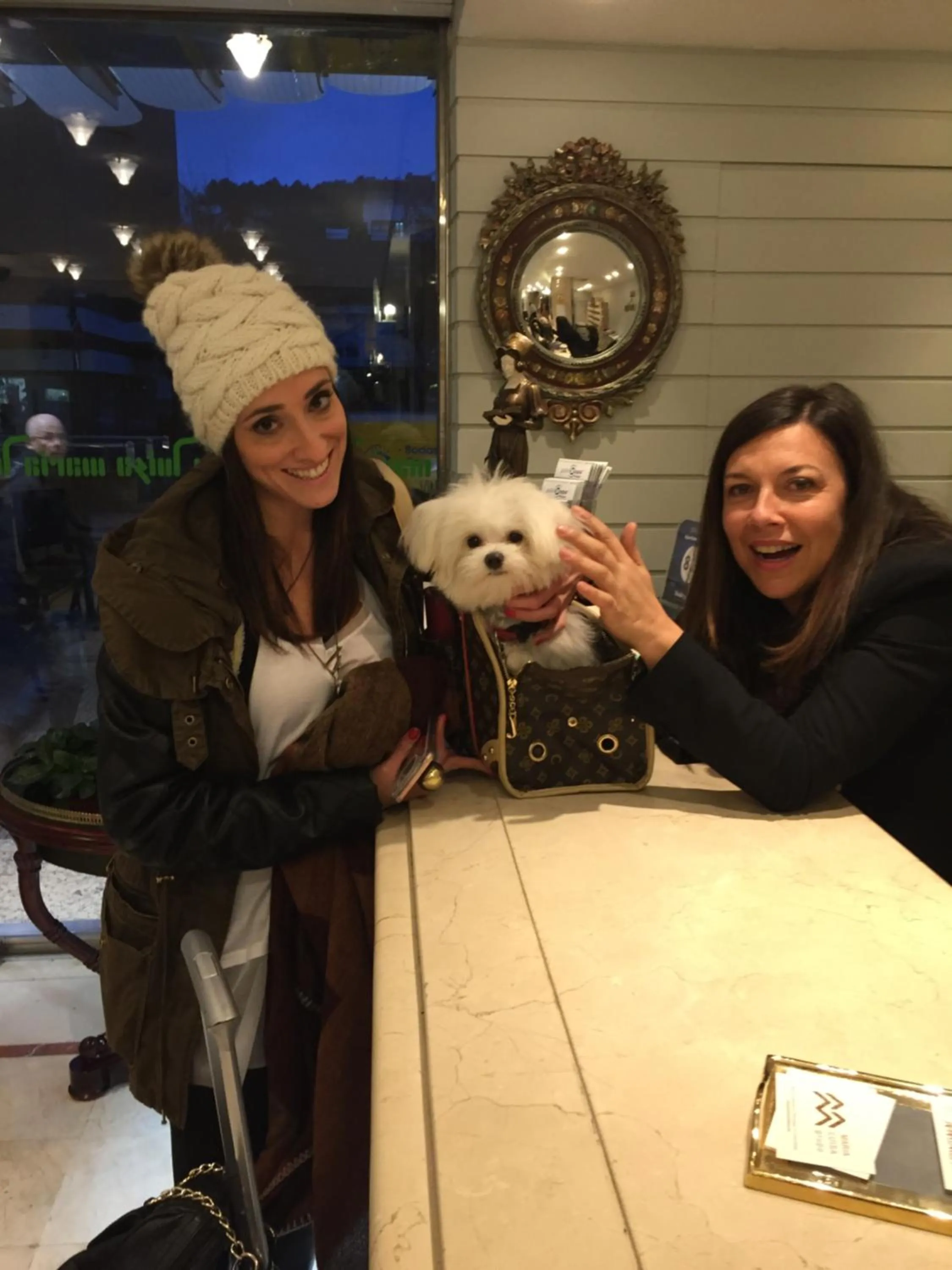 Pets in Hotel Maria Luisa