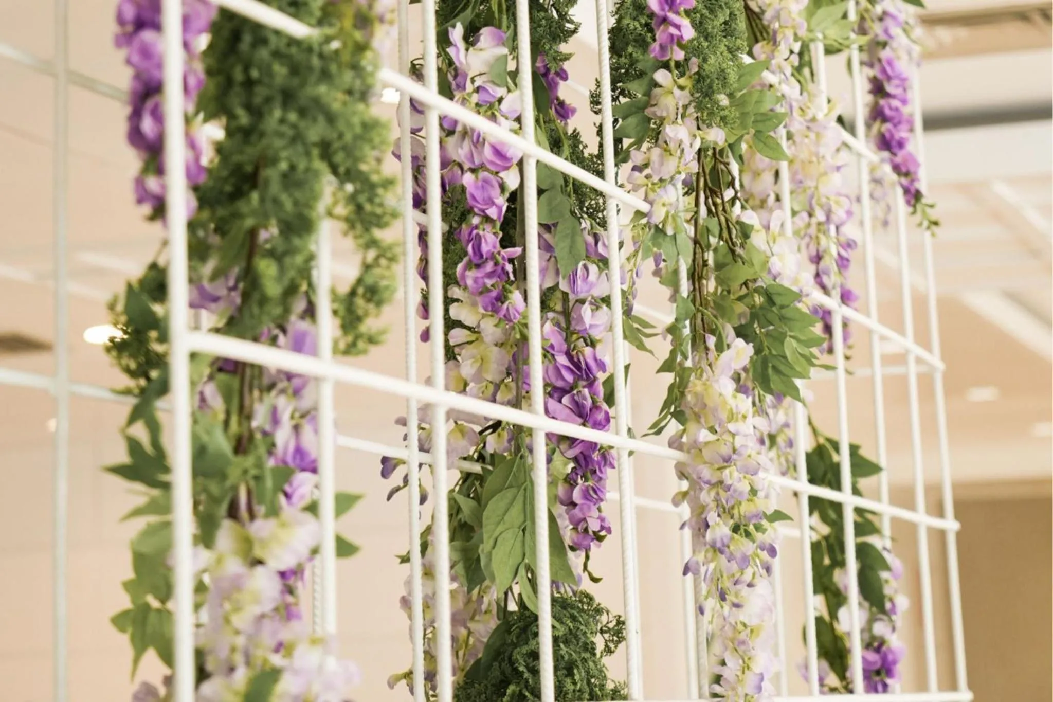 Lobby or reception, Other Activities in htop Royal Beach