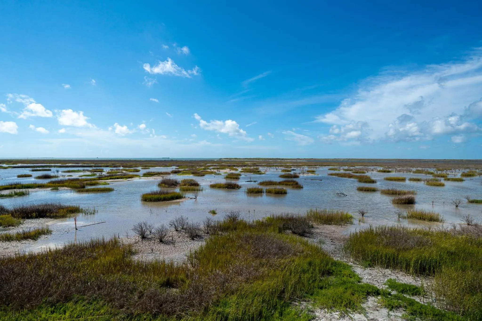 Property building in Birds on the Bay