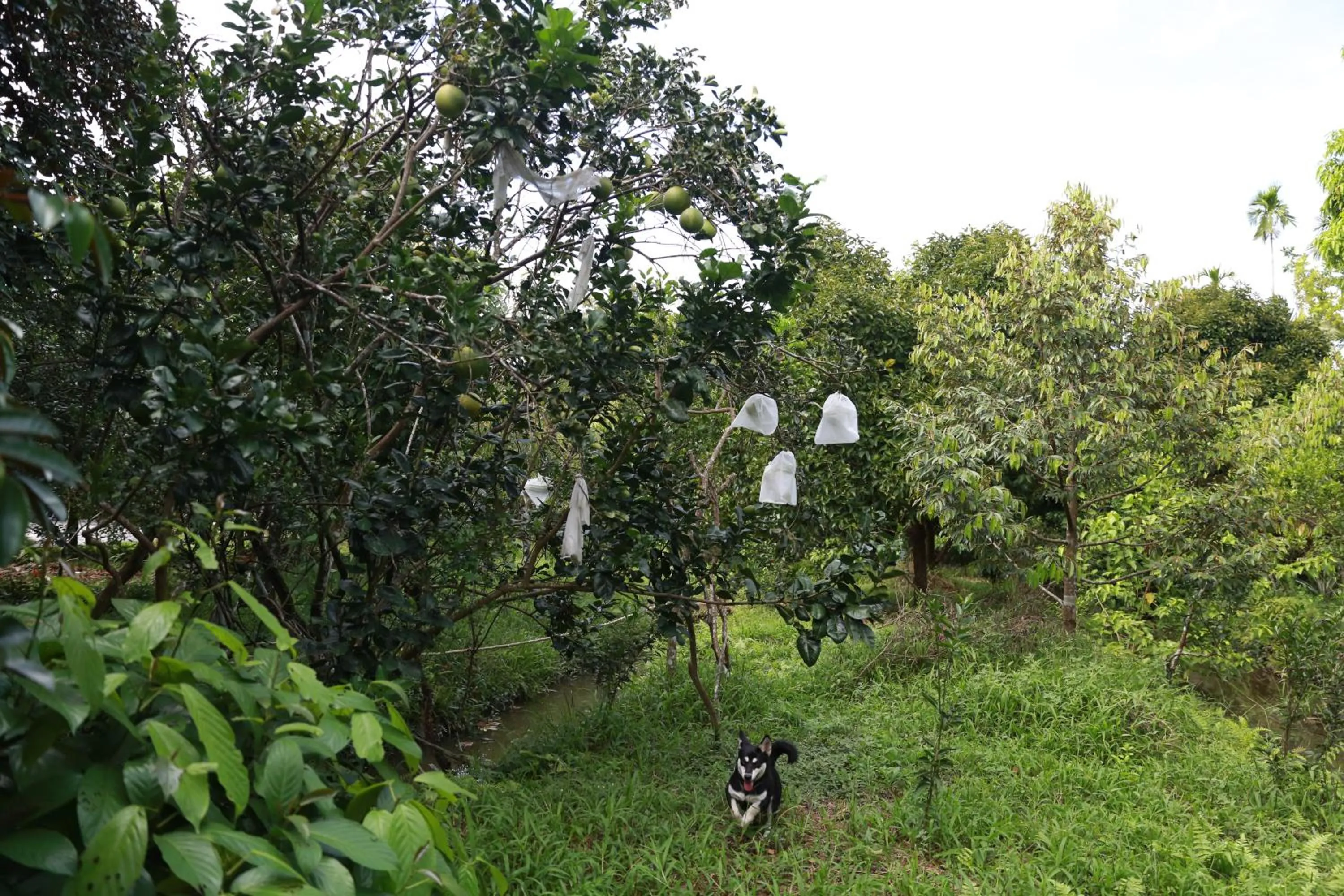 Property building in Vamxang Rustic Home