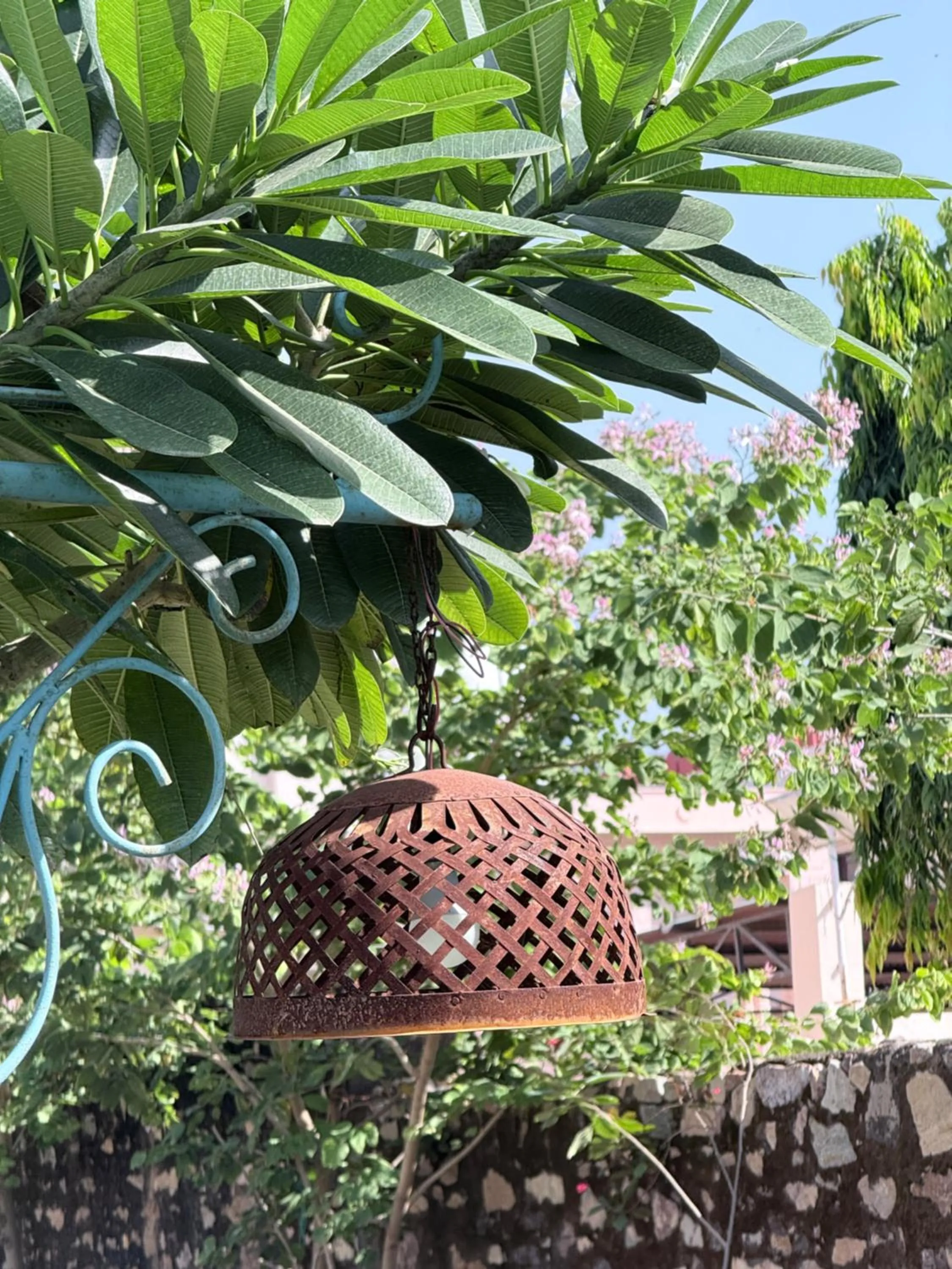 Garden view in KothiPushkar