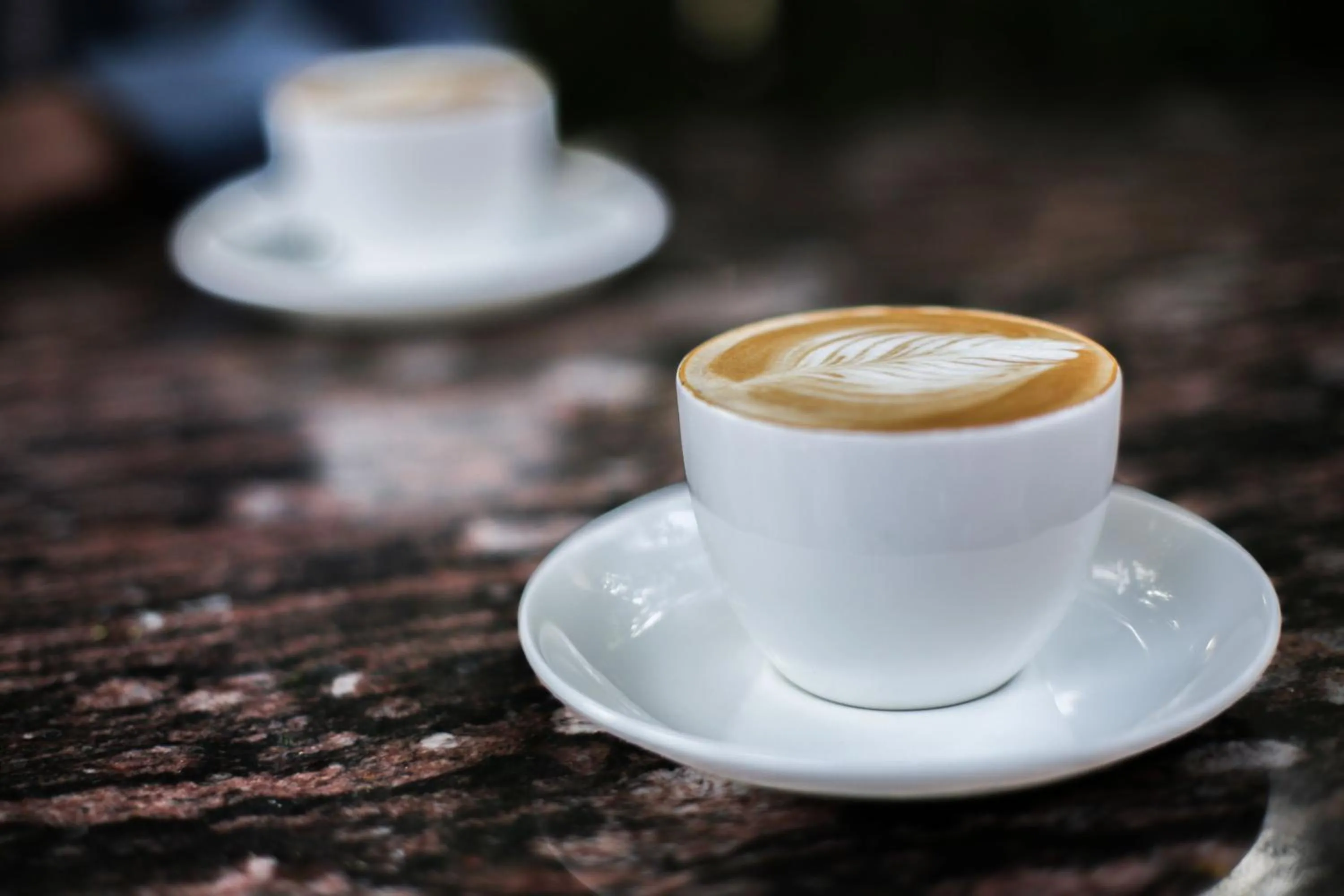 Restaurant/places to eat in KothiPushkar