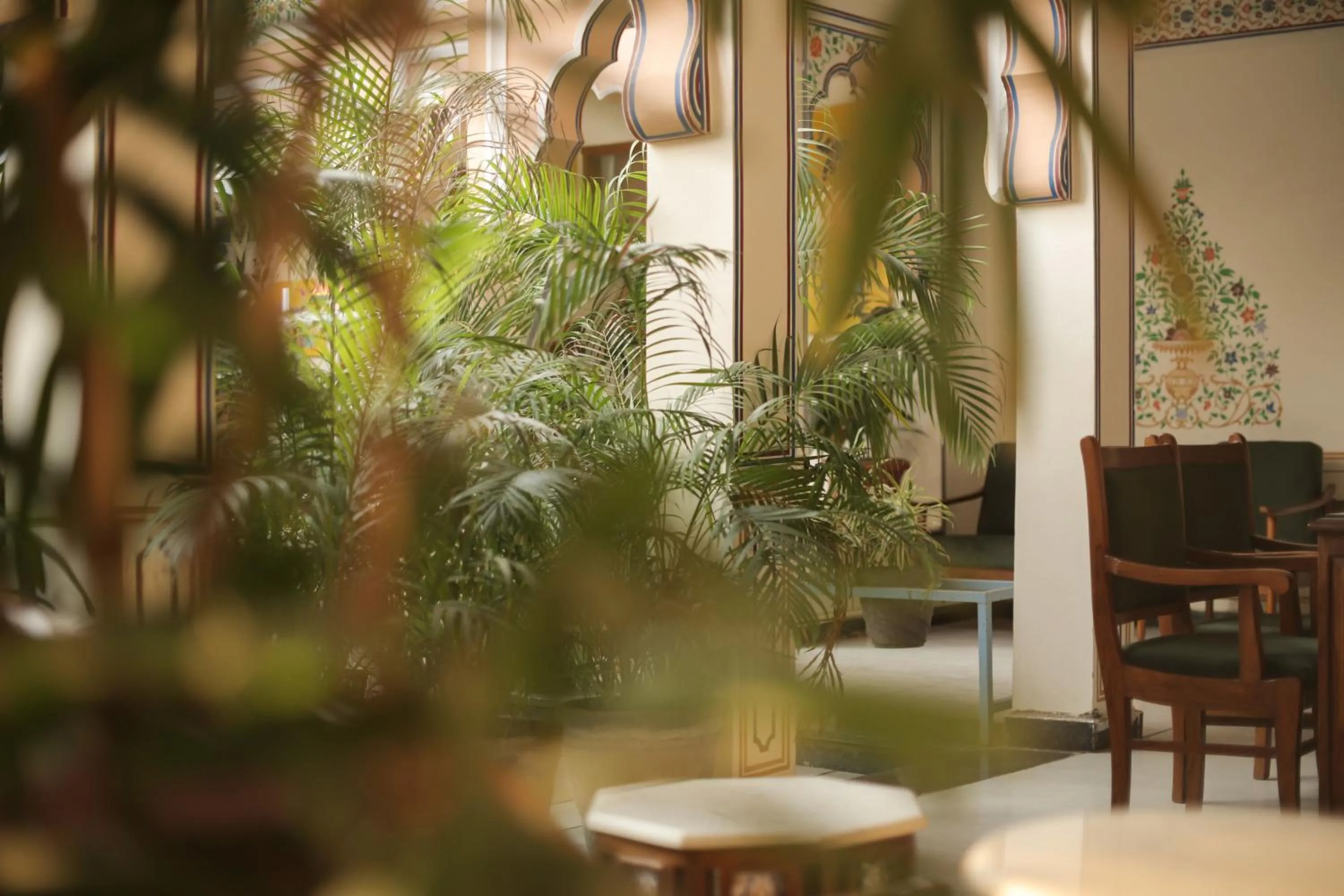 Property building in KothiPushkar