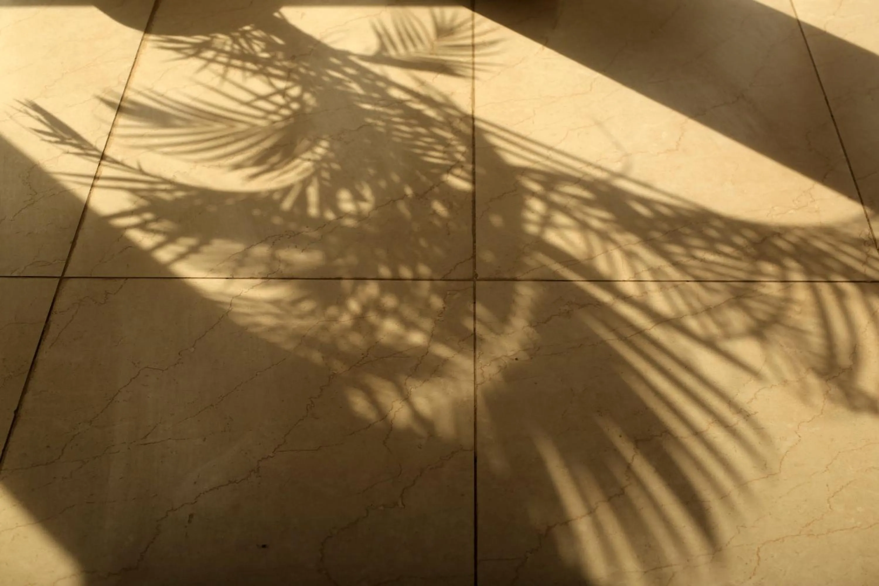 Property building in KothiPushkar