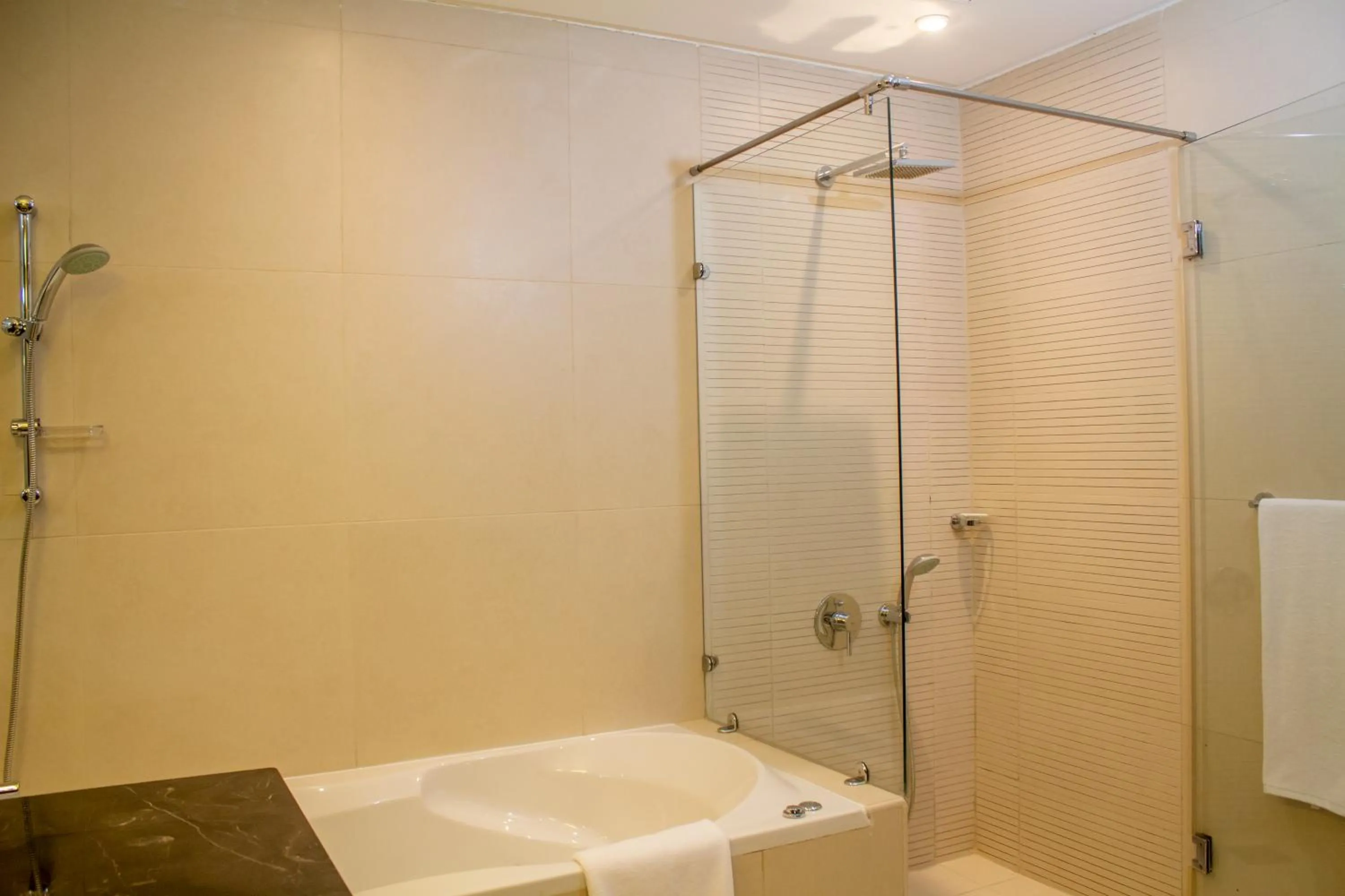Shower in Butterfly Residence