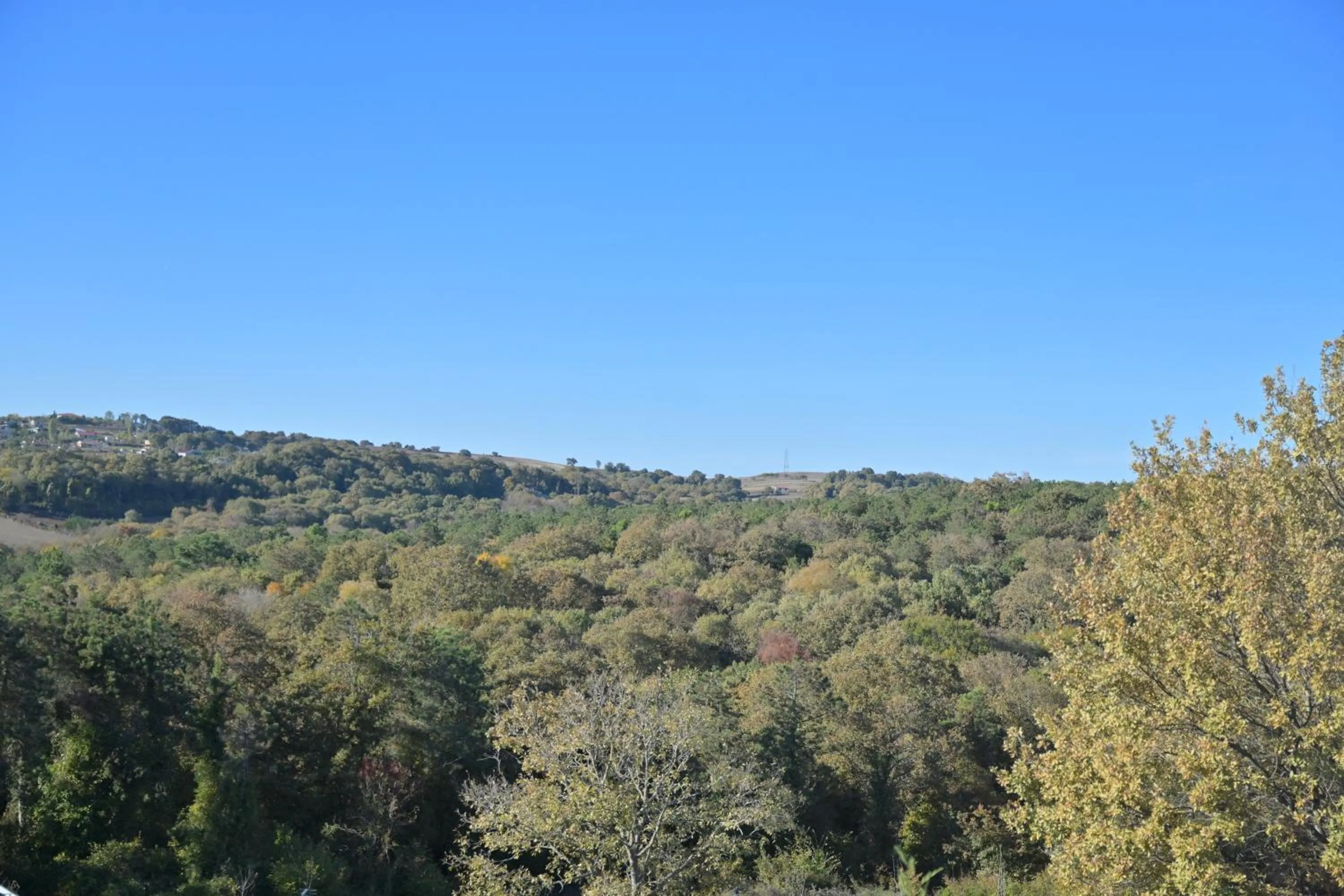 Garden in Ahmet teacher's villa, 6 minutes from the airport