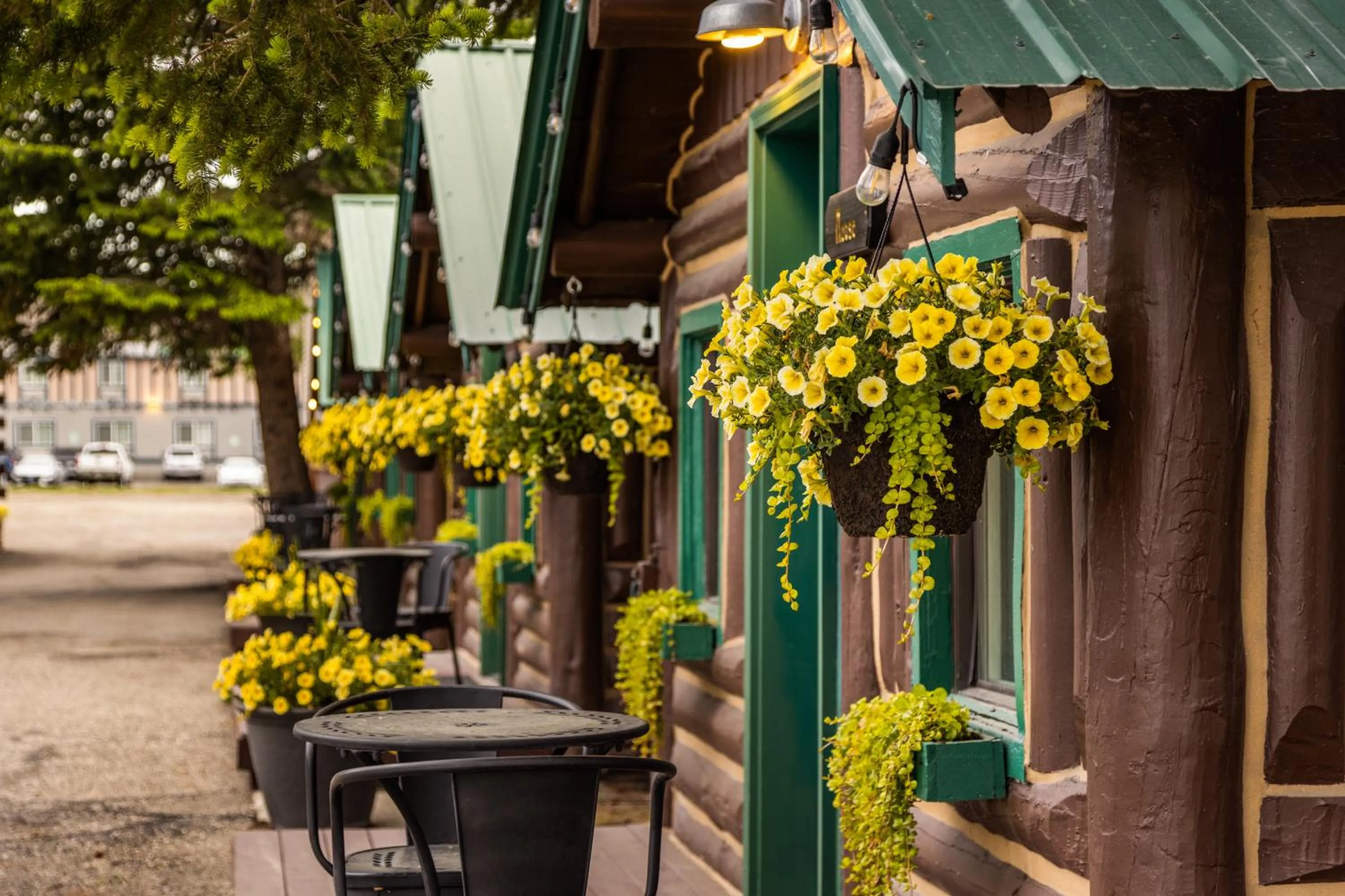 Property building in The Bucking Moose