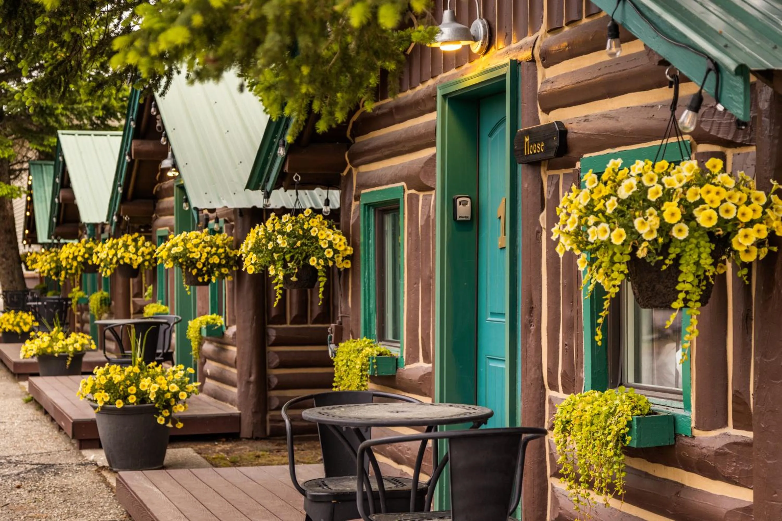 Property building in The Bucking Moose