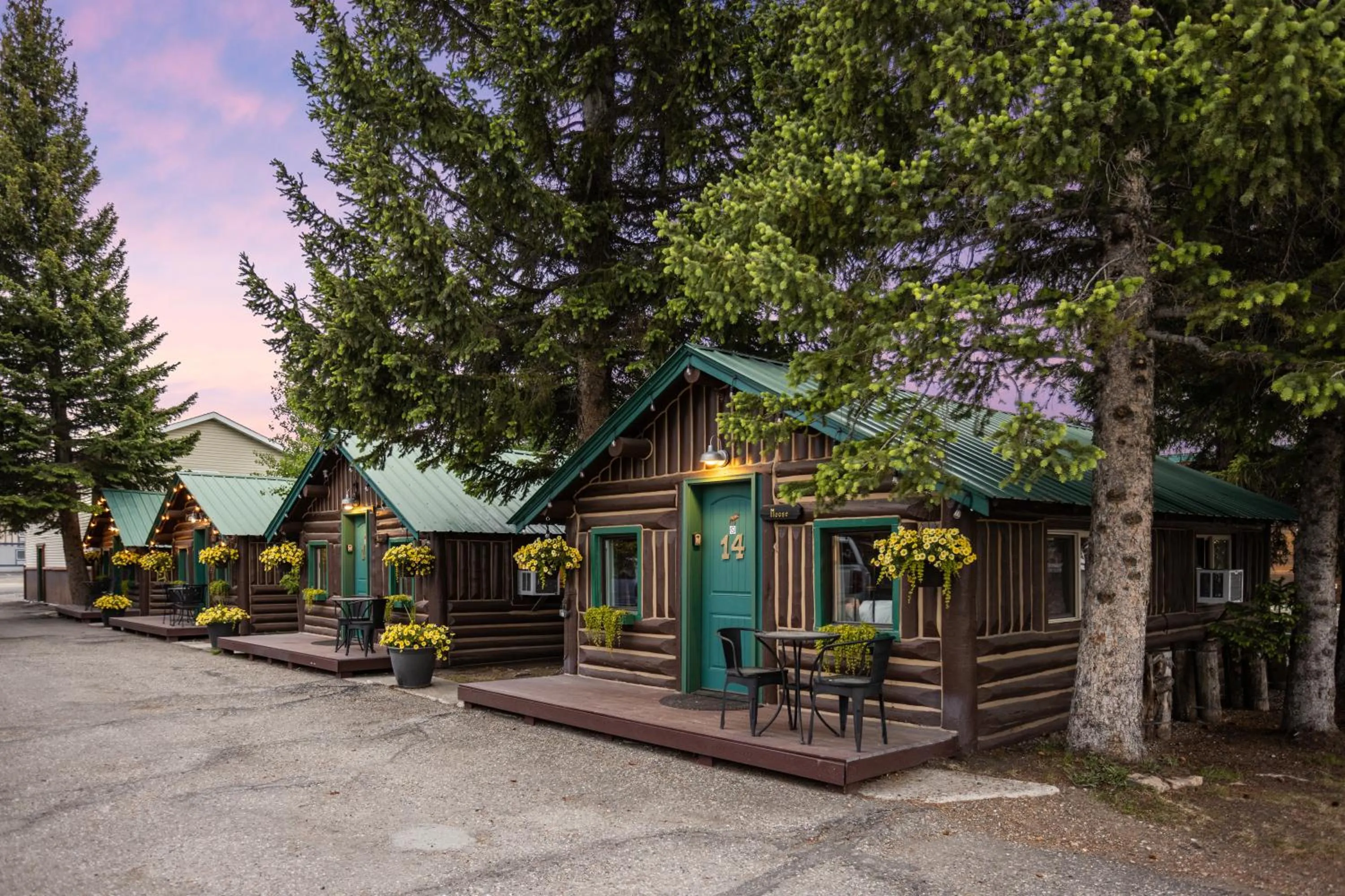 Property building in The Bucking Moose