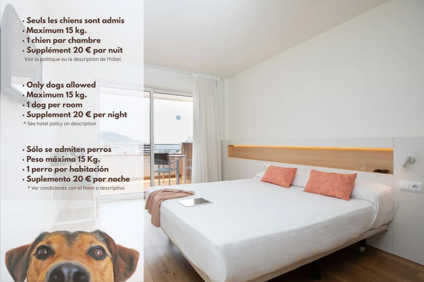 Pets, Bed in Prestige Sant Marc